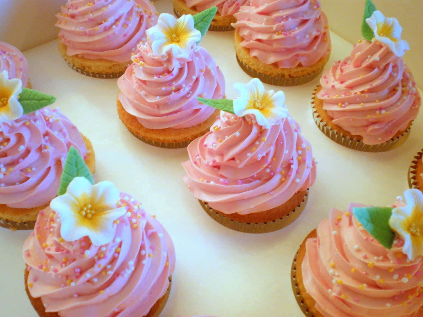 Pink Cupcakes 桌布 壁紙 — 精緻的粉紅色糖霜紙杯蛋糕，上面綴有白色和黃色花朵以及彩色糖粒。