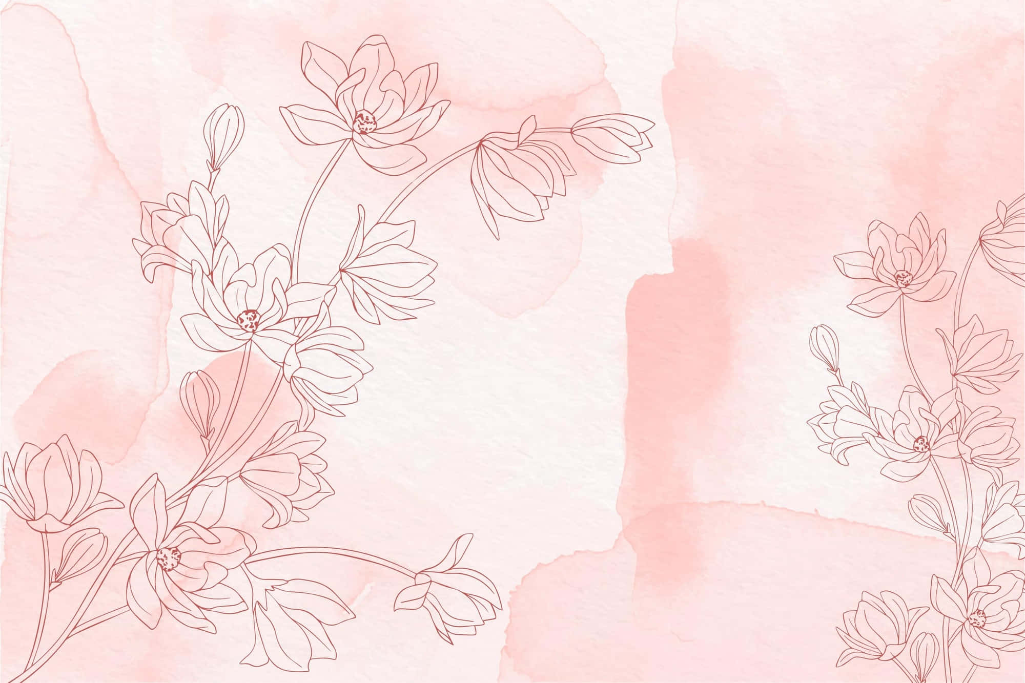 Pink Watercolor 桌布 壁紙 — 精緻的線條繪製花朵在柔和的粉紅色水彩背景上優雅綻放。