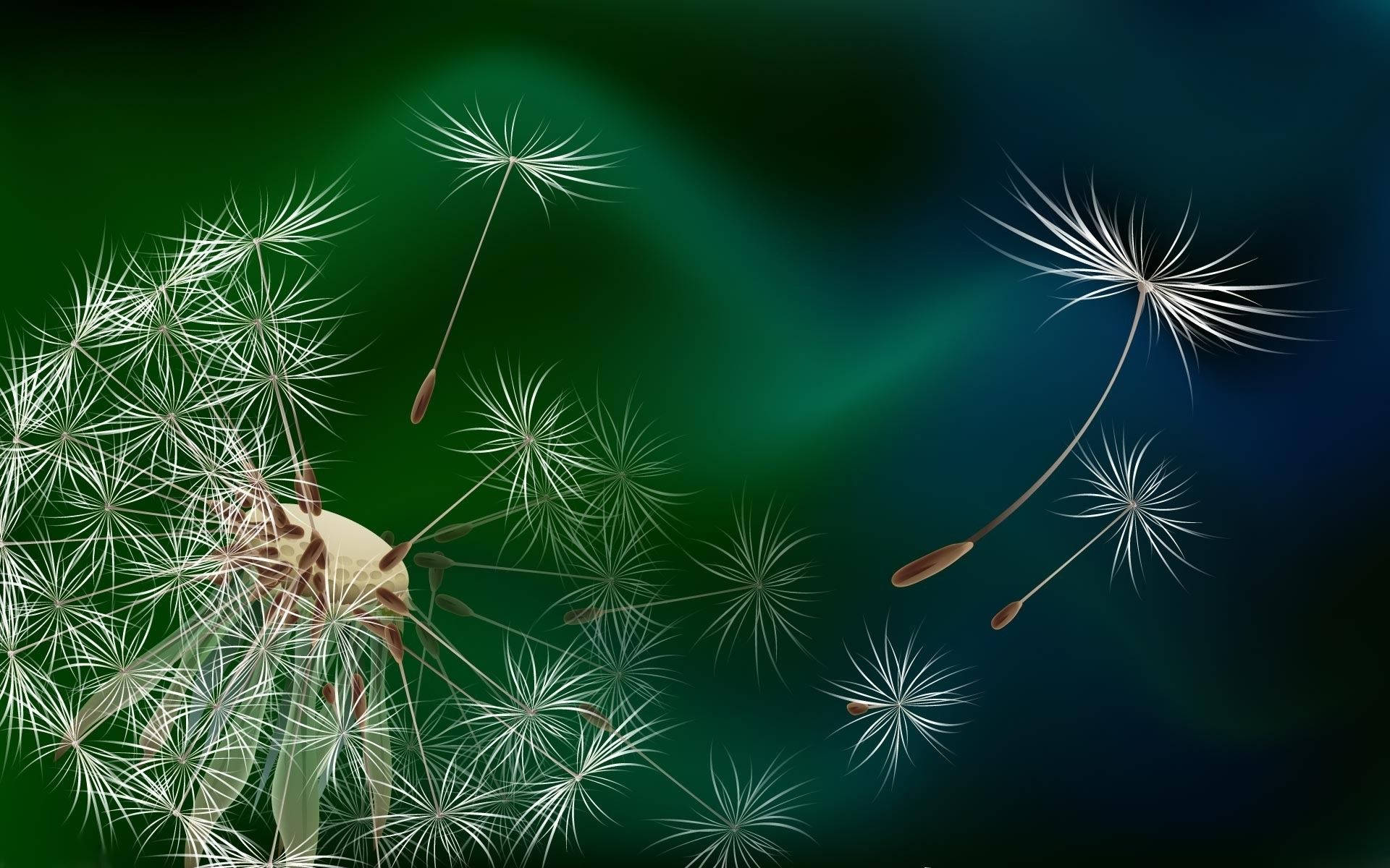 花 桌布 壁紙 — 精緻的蒲公英種子在漸變綠色和藍色的夜空中飄蕩，伴隨著柔和發光的光線。