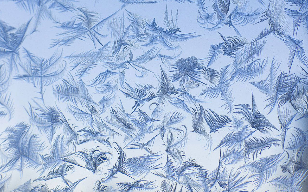 blue aesthetic pc 桌布 壁紙 — 精緻的藍色霜晶在冰冷的玻璃表面形成複雜的羽毛狀圖案。