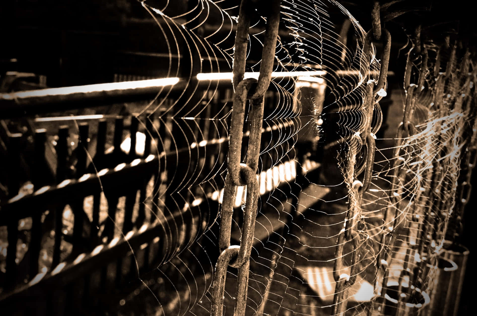 Cobwebs 桌布 壁紙 — 精緻的蜘蛛網在復古色調的工業環境中，沾滿露水，在生鏽的金屬鏈條上閃閃發光。