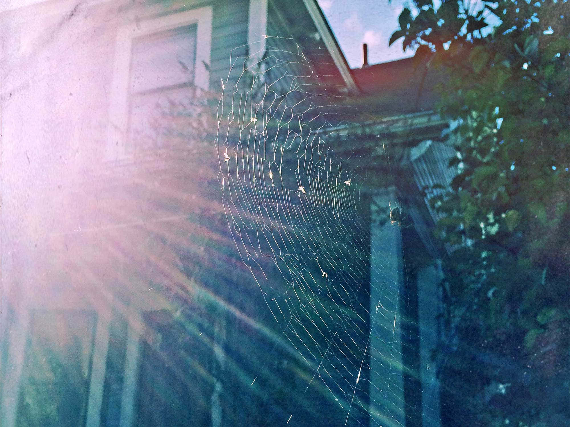 Cobwebs 桌布 壁紙 — 精緻的蜘蛛網在柔和晨光沐浴下的復古房屋背景下閃爍著露珠。