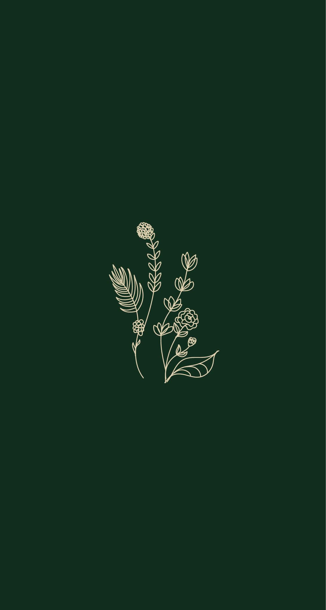 Aesthetic Green Minimal 桌布 壁紙 — 精緻的金色線條畫，描繪各種花卉和葉子，置中於深森林綠色背景上。