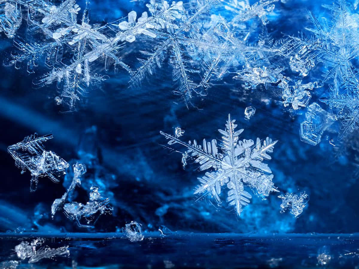 冰 桌布 壁紙 — 精緻的霜晶和雪花在深藍色冰面上閃爍，呈現冬日特寫場景。