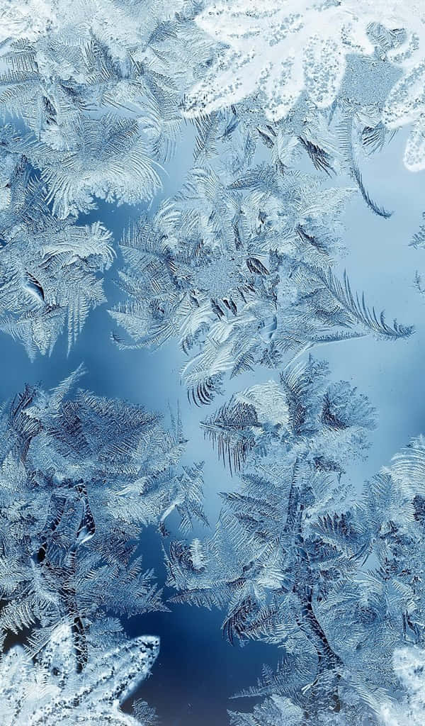 600x1024 桌布 壁紙 — 精緻的霜晶在玻璃表面上綻放出複雜的圖案，背景為冷藍色漸變。