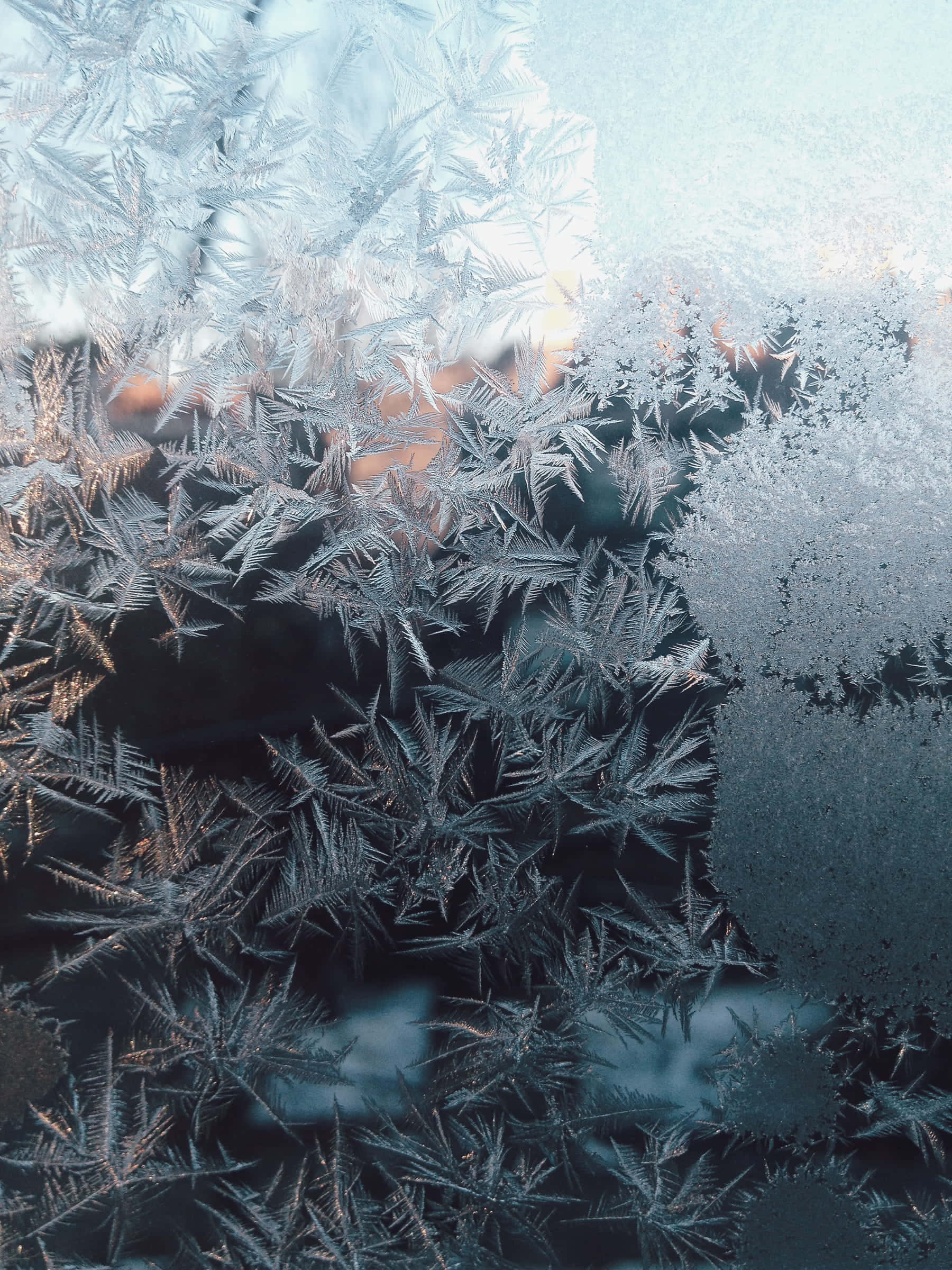 Frost 桌布 壁紙 — 精緻的霜晶在窗玻璃上綻放，在黑暗背景下捕捉柔和光線。