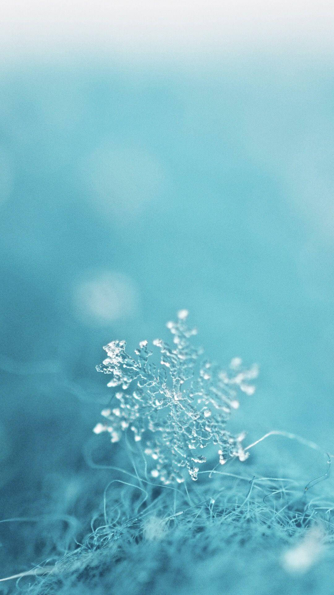 在藍色紋理表面上的一片精緻雪花。 — 雪花 GIF 壁紙