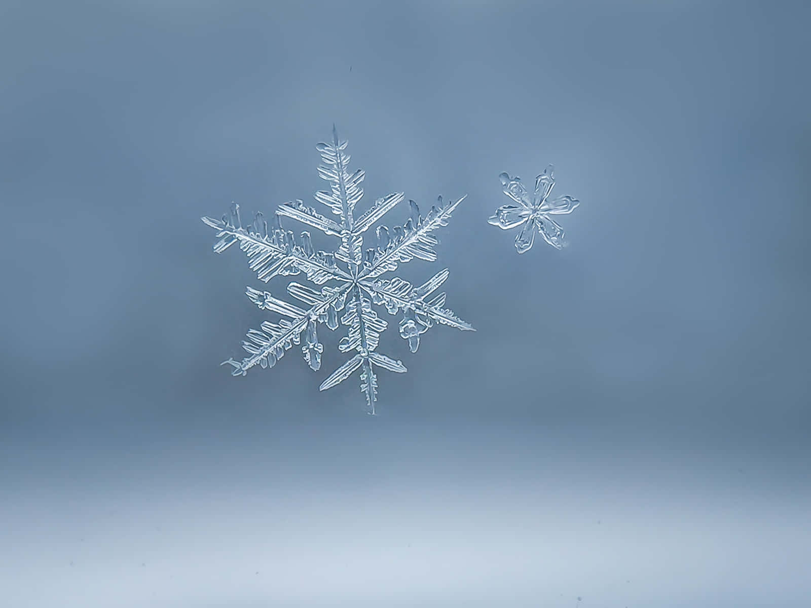 雪花 桌布 壁紙 — 精緻複雜的雪花，帶有細緻的晶體臂，靜置在清涼的藍色玻璃表面上，背景是柔和的漸變色。