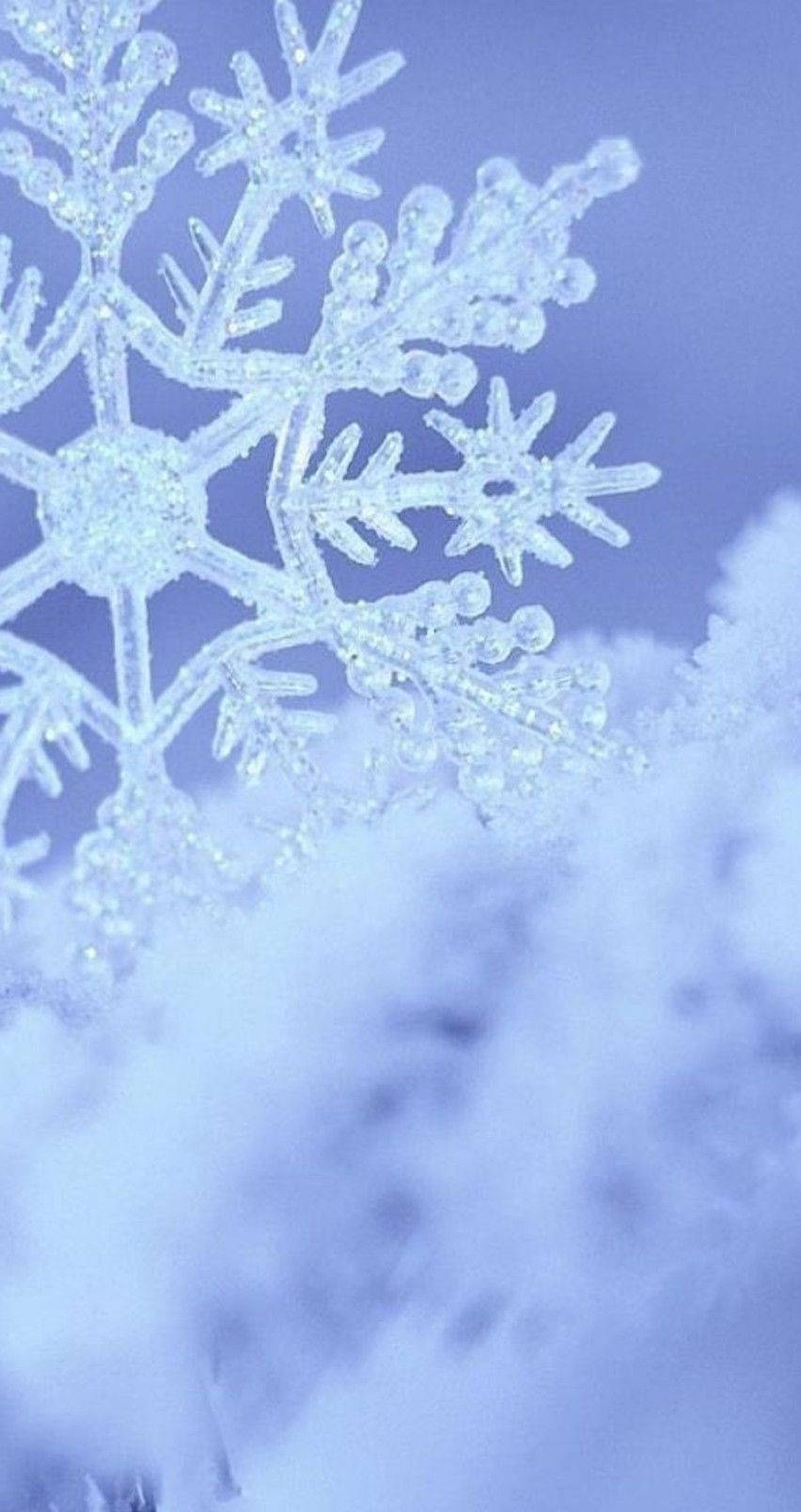 雪花 桌布 壁紙 — 精緻複雜的雪花在柔和藍天和模糊雪景背景下閃爍。