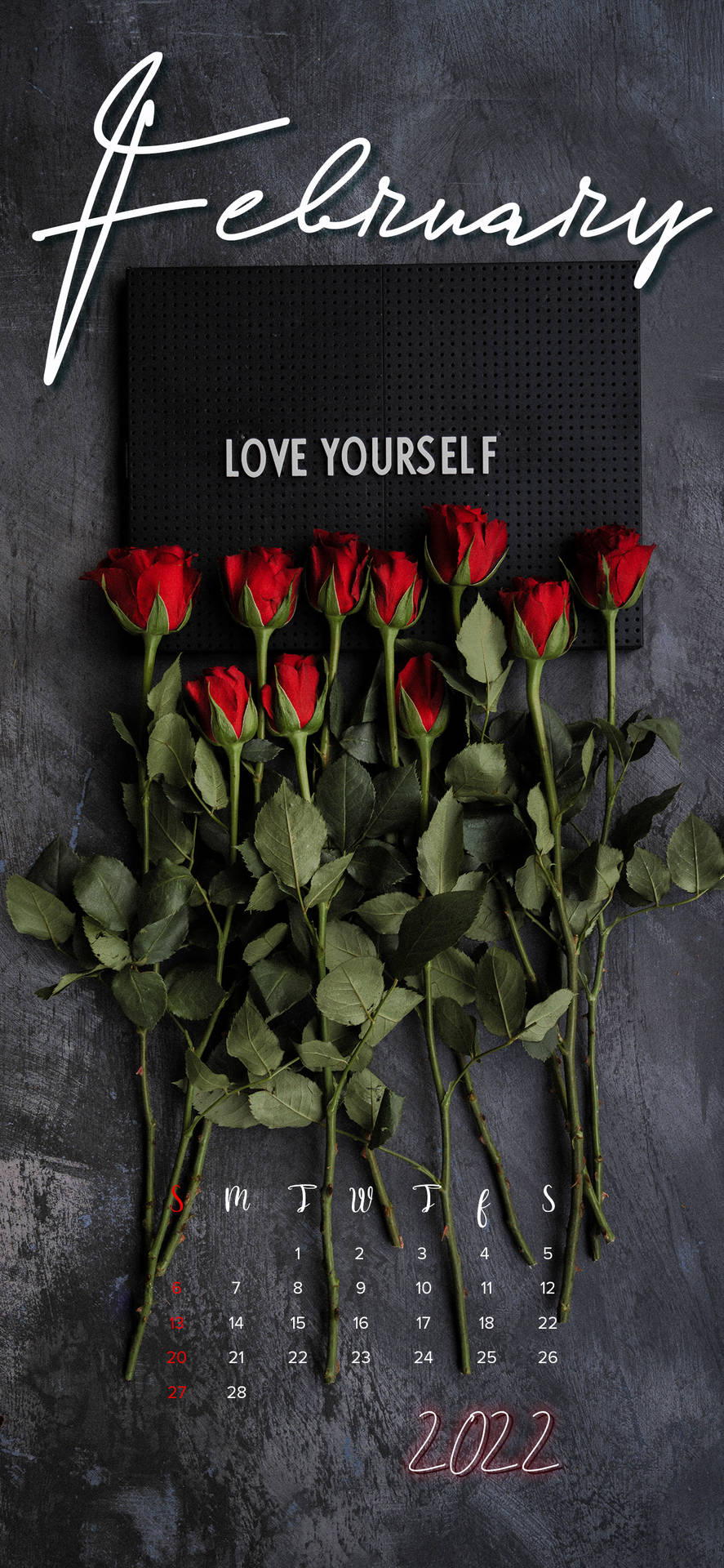 2022年2月日曆，帶有紅玫瑰和「Love Yourself」訊息。 — 二月 GIF 壁紙