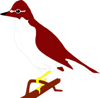 紅白鳥類插圖 壁紙