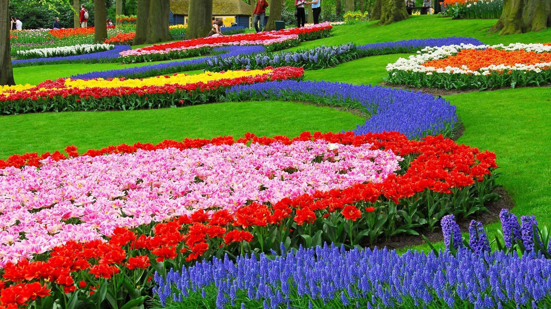 Botanical Garden 桌布 壁紙 — 紅色、粉紅色、黃色和藍色鬱金香和風信子的鮮豔蜿蜒花壇在鬱鬱蔥蔥的綠色公園中盛開，人們在高大的樹木間漫步。