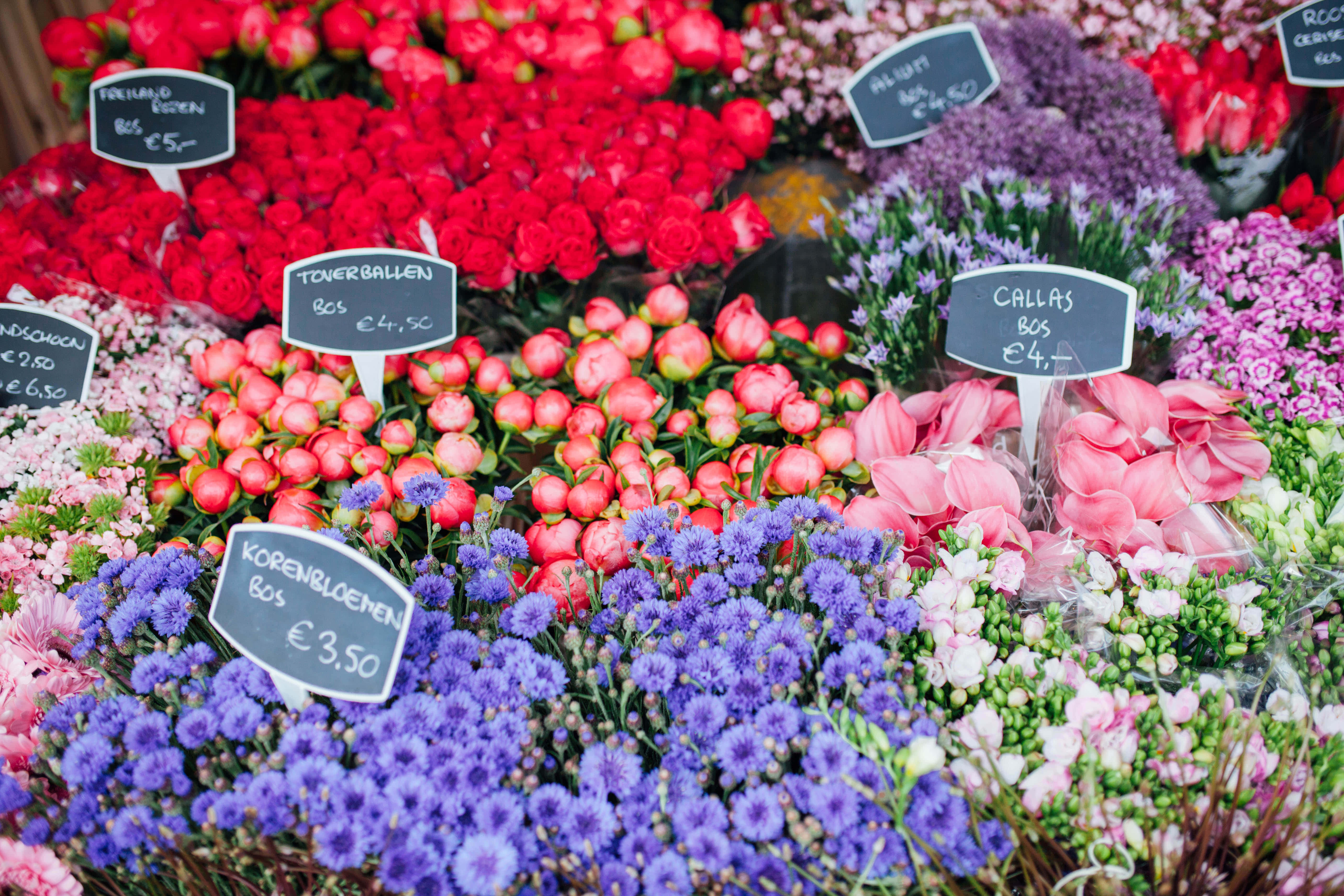 Flower Market 桌布 壁紙 — 紅色、粉紅色和紫色色調的新鮮花卉，在熙熙攘攘的市場攤位上展示，並附有價格標籤。
