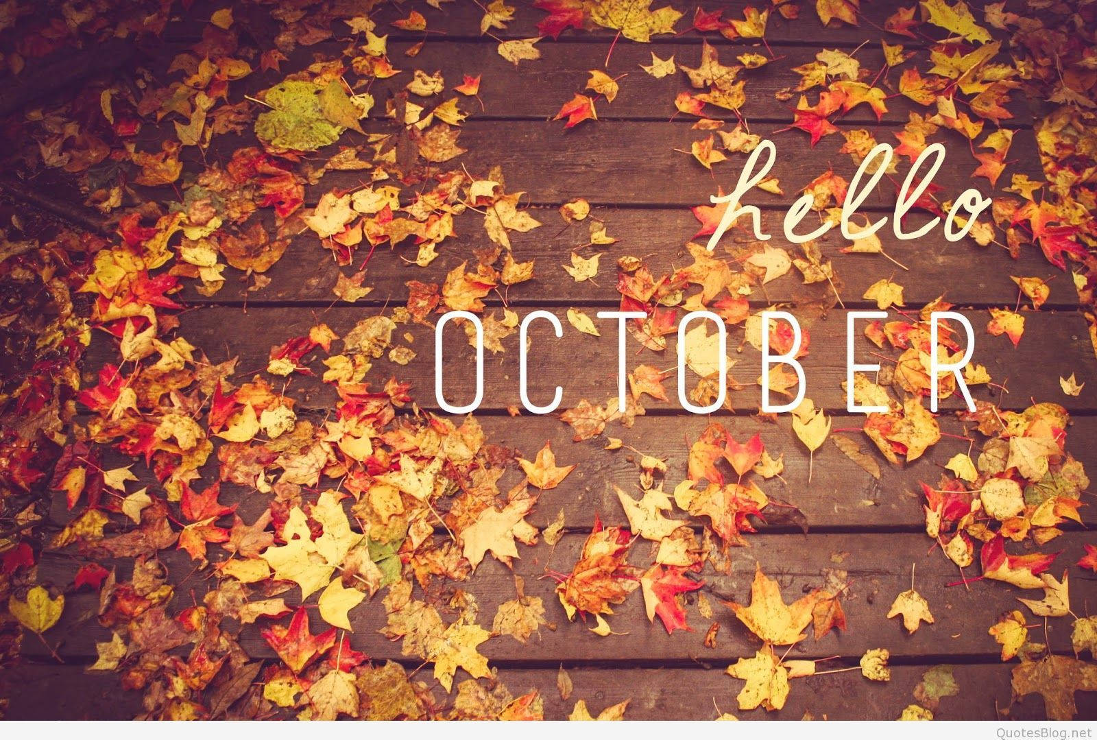 October 桌布 壁紙 — 紅色、黃色和橙色的秋葉覆蓋深色木板，上面疊加文字 hello october。