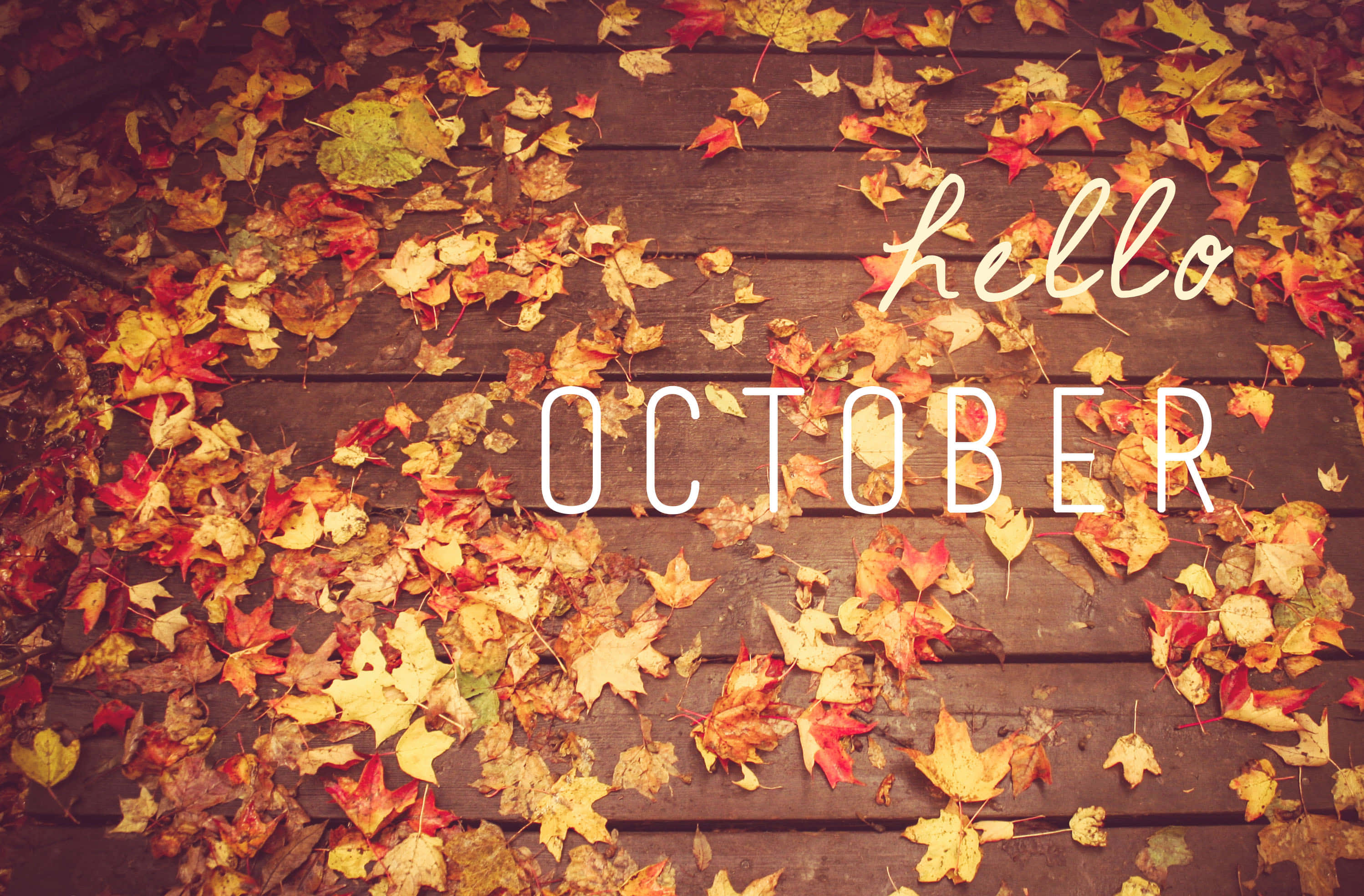 Hello October With Pumpkin 桌布 壁紙 — 紅色、黃色和橙色的秋葉覆蓋著深色木甲板，上面疊加了hello october文字。