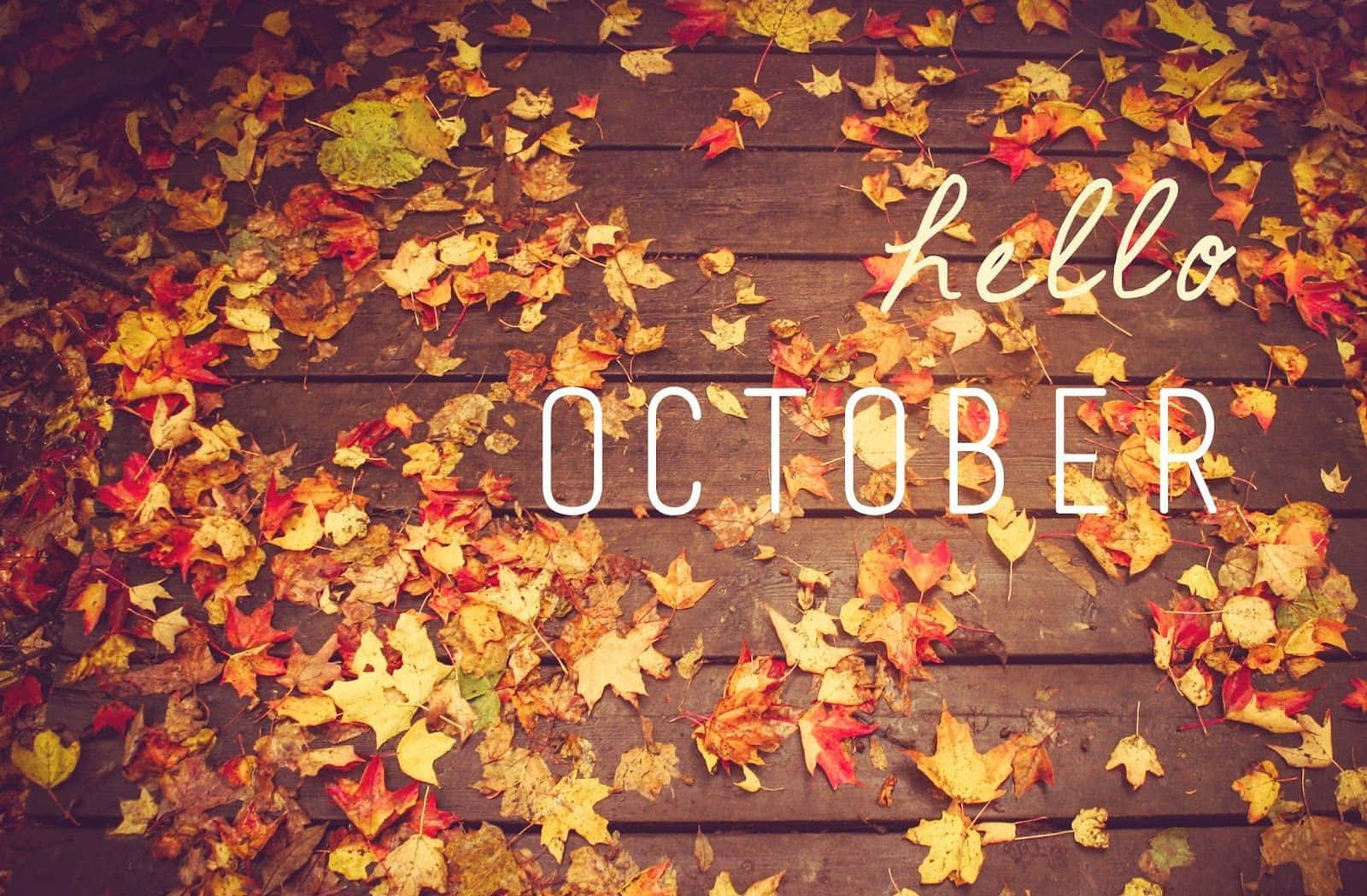 October 桌布 壁紙 — 紅色、黃色和橙色的秋葉覆蓋著深色木質甲板，上面疊加了hello october文字。