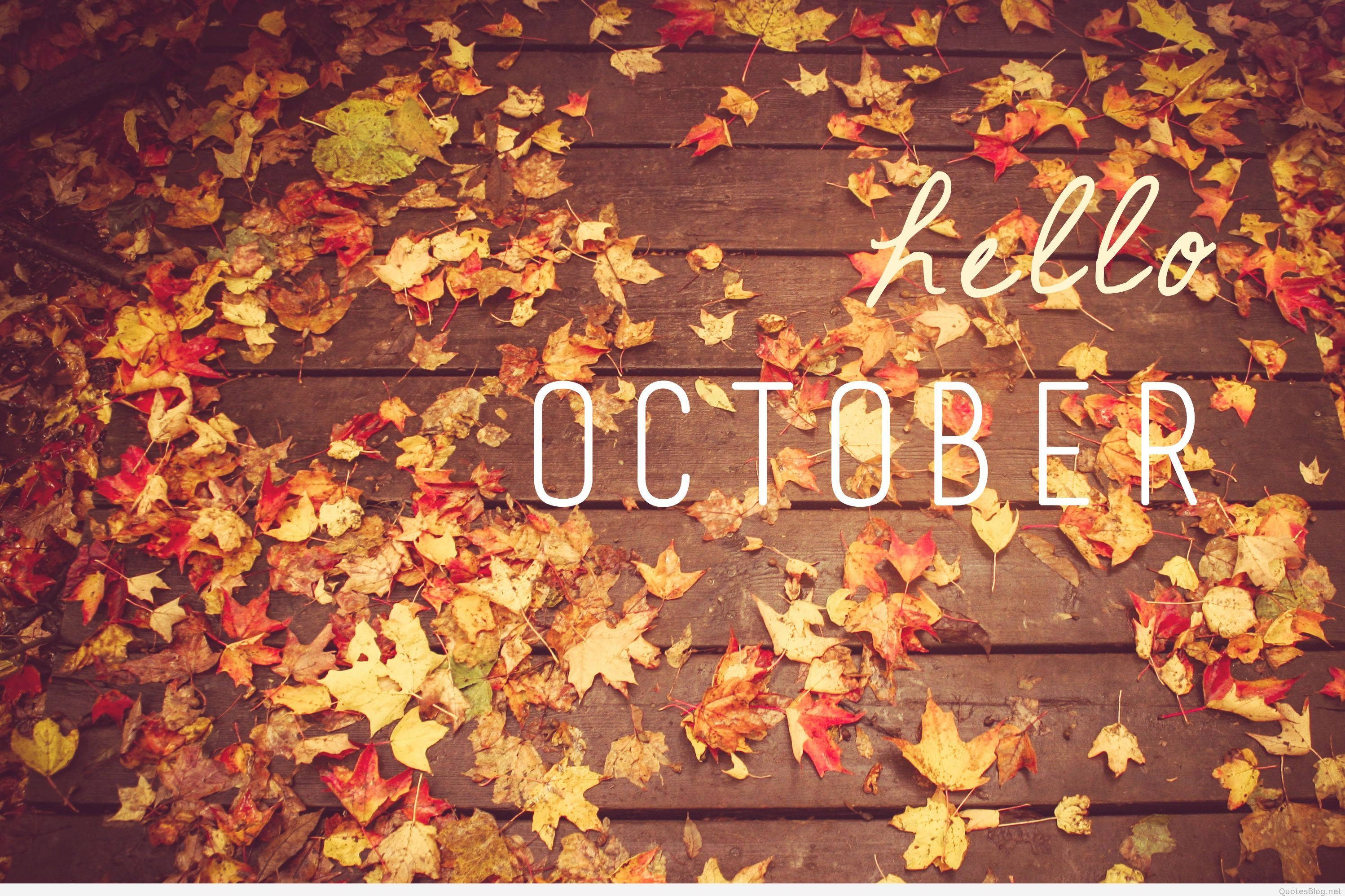 Cute October 桌布 壁紙 — 紅色、黃色和橙色的秋葉覆蓋著風化的木甲板，並帶有 'hello october' 文字疊加。