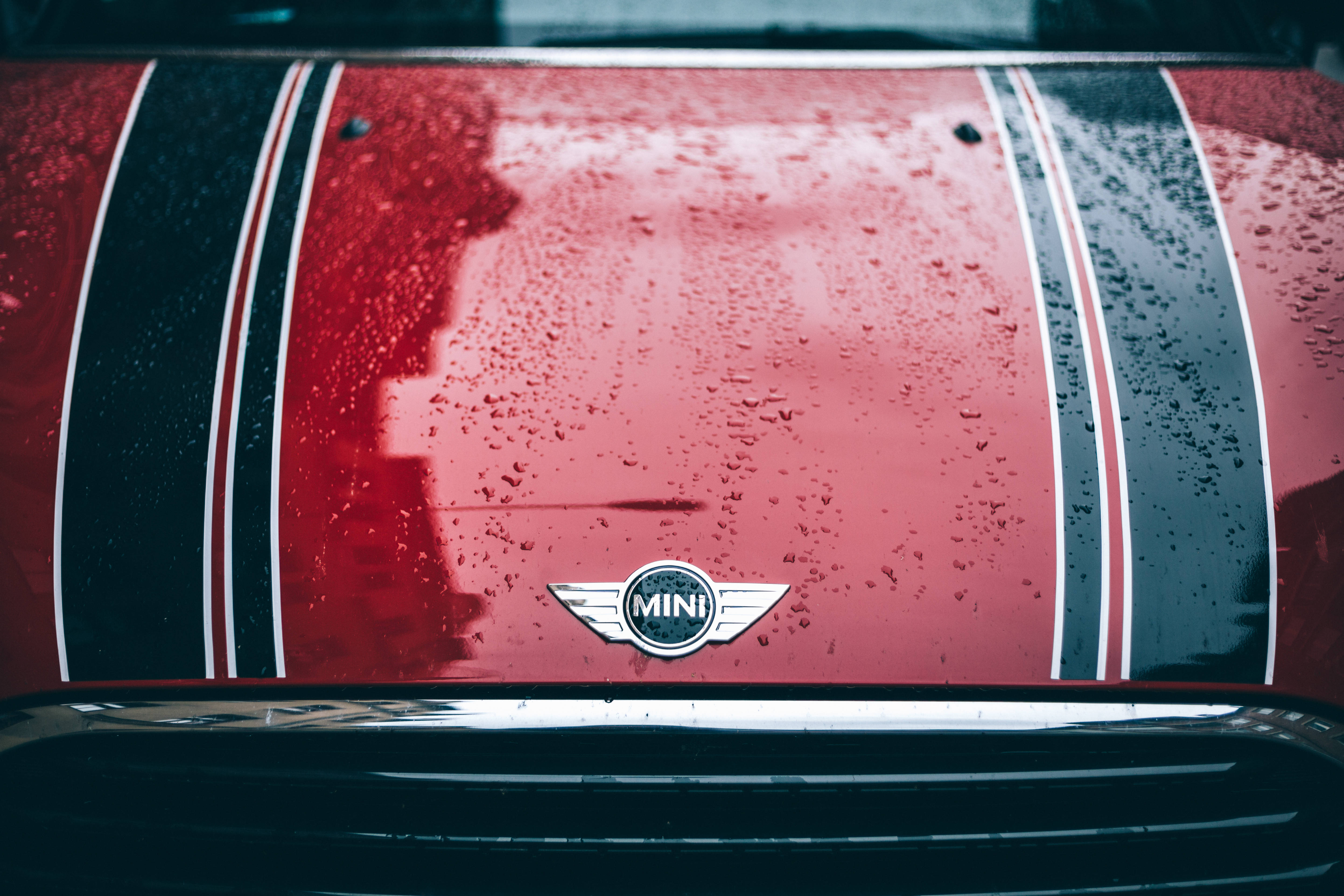 mini cooper logo 桌布 壁紙 — 紅色MINI汽車引擎蓋特寫，帶有黑白賽車條紋，覆蓋著雨滴。