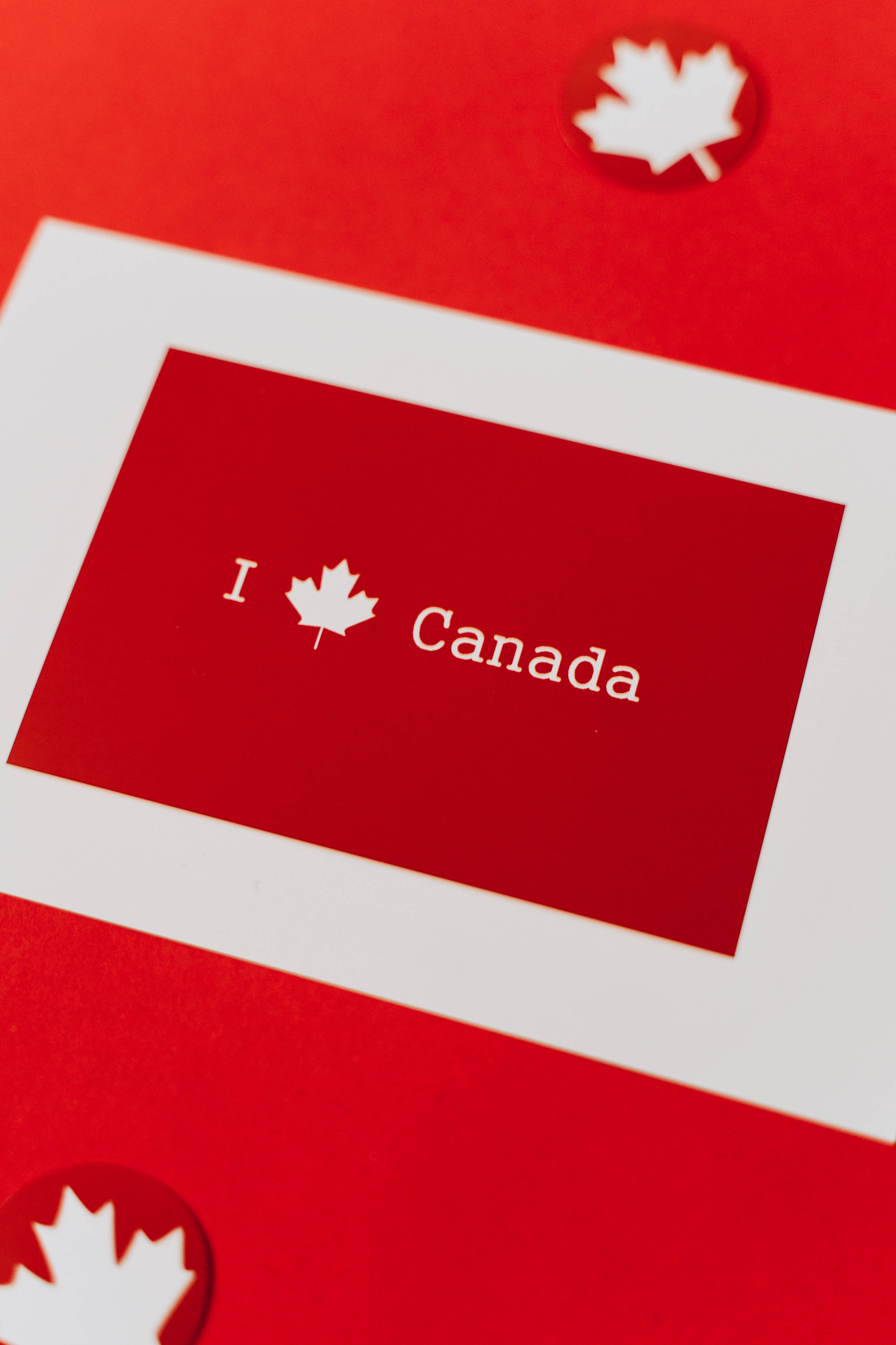 語錄 桌布 壁紙 — 紅色卡片特寫，上面有白色文字 I heart Canada，周圍環繞著楓葉剪紙，背景為紅色。