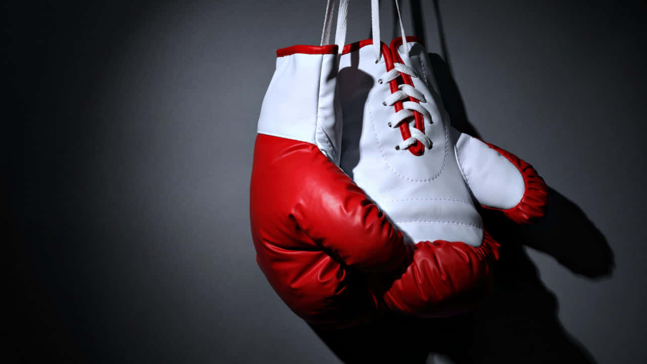 Boxing Gloves 桌布 壁紙 — 紅色和白色的拳擊手套懸掛在深灰色背景上，由戲劇性的聚光燈照亮。