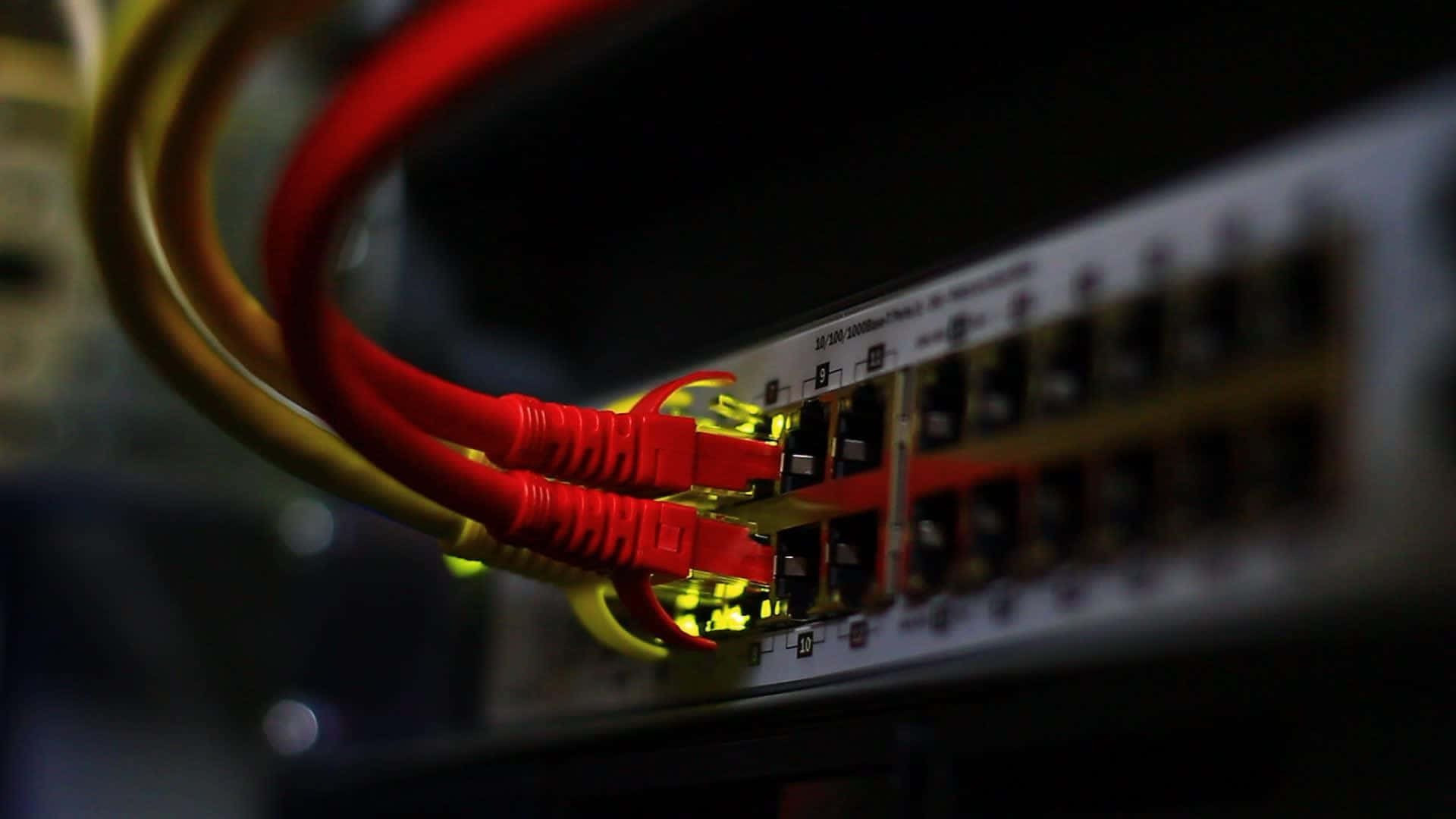 Ethernet 桌布 壁紙 — 紅色和黃色乙太網路電纜插入帶有發光端口的網路交換器的特寫。