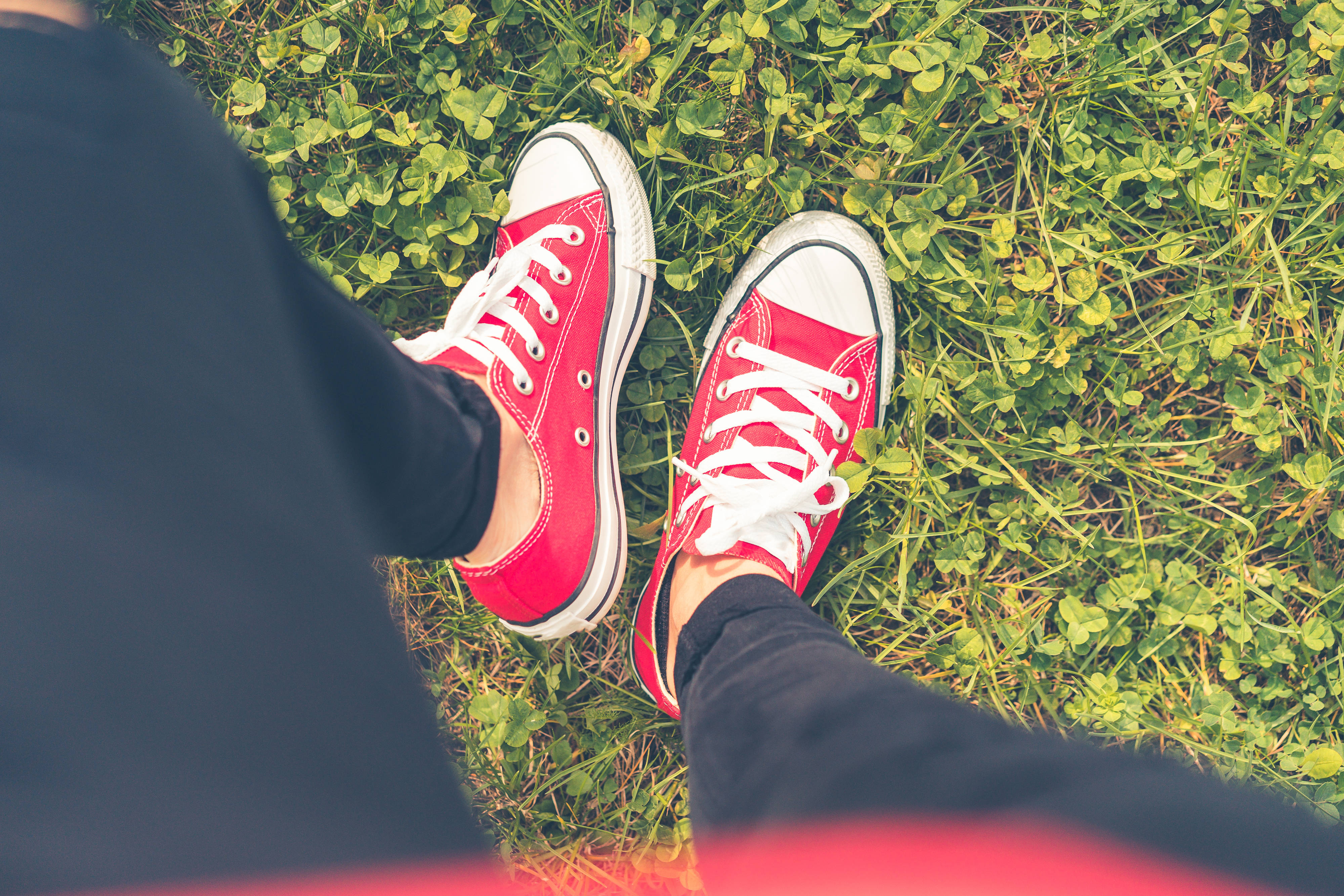 Converse 桌布 壁紙 — 紅色帆布運動鞋搭配白色鞋帶，從俯視角度放置在綠色三葉草草地上。