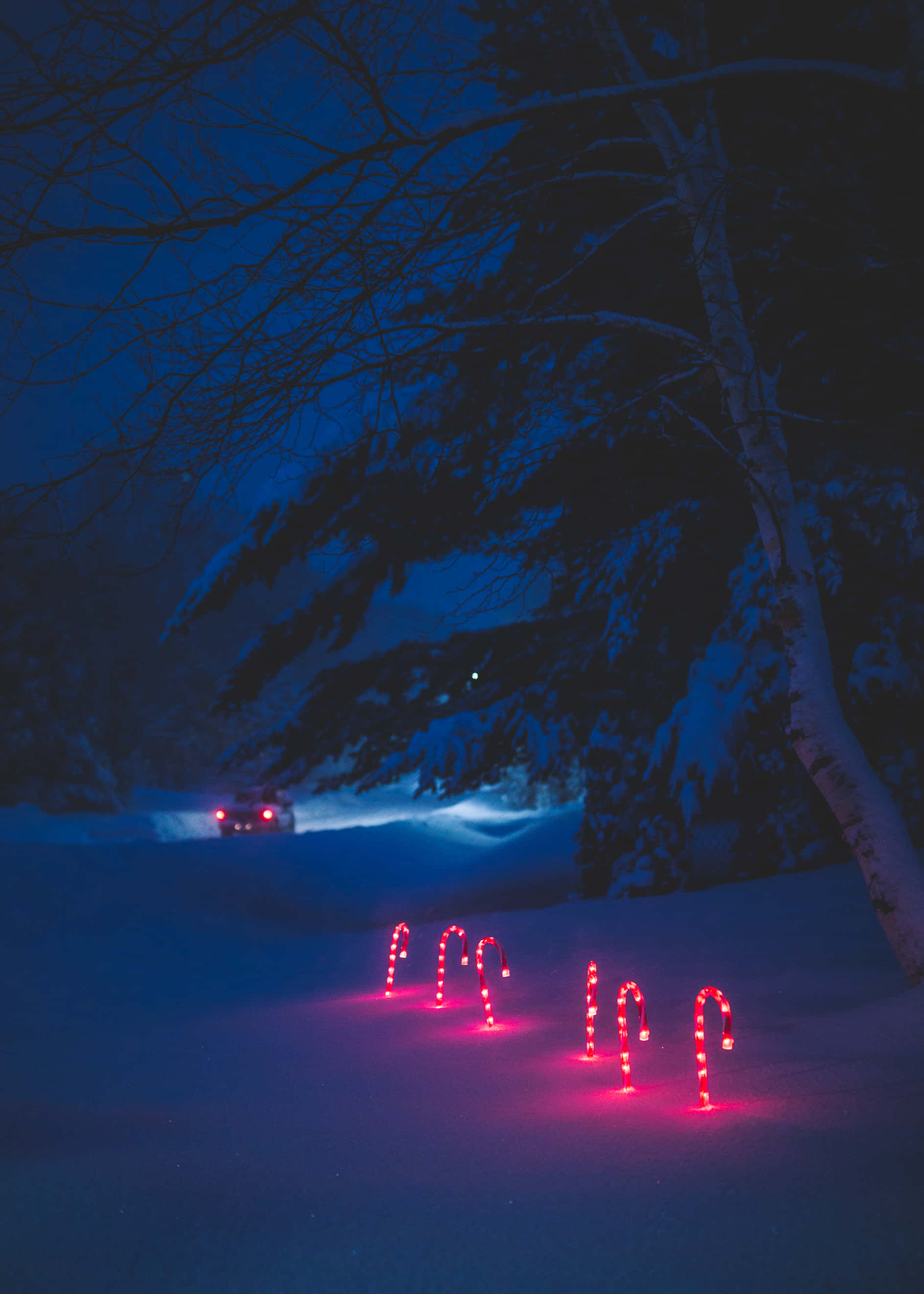 桌布 壁紙 — 紅色拐杖糖燈在深藍色的雪中溫暖地發光，夜空無星，有光禿的樹木和一輛遠處的汽車。