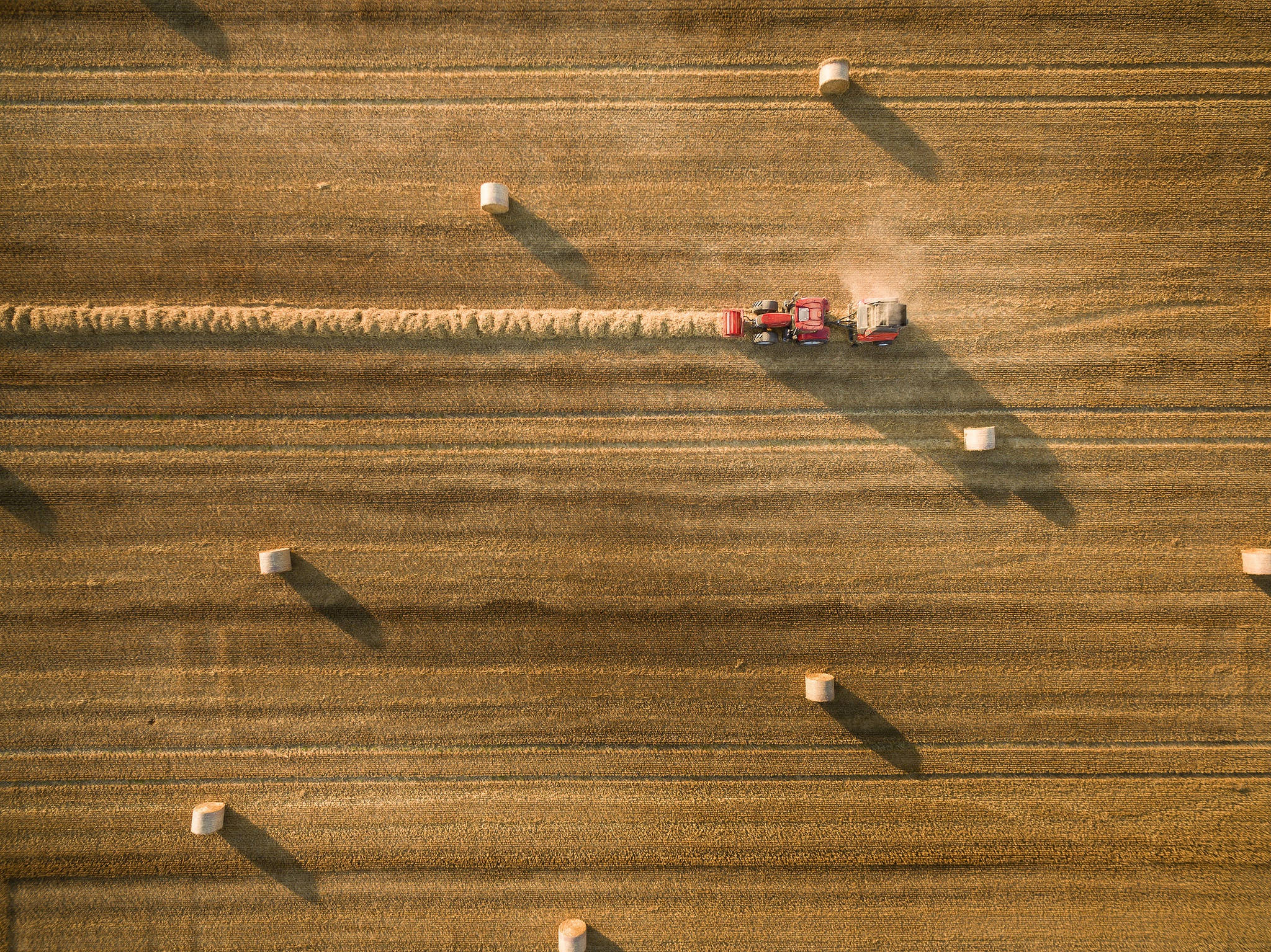 Farmer 桌布 壁紙 — 紅色拖拉機在金色麥田收割，留下整齊的行列和散落的乾草捆的鳥瞰圖。