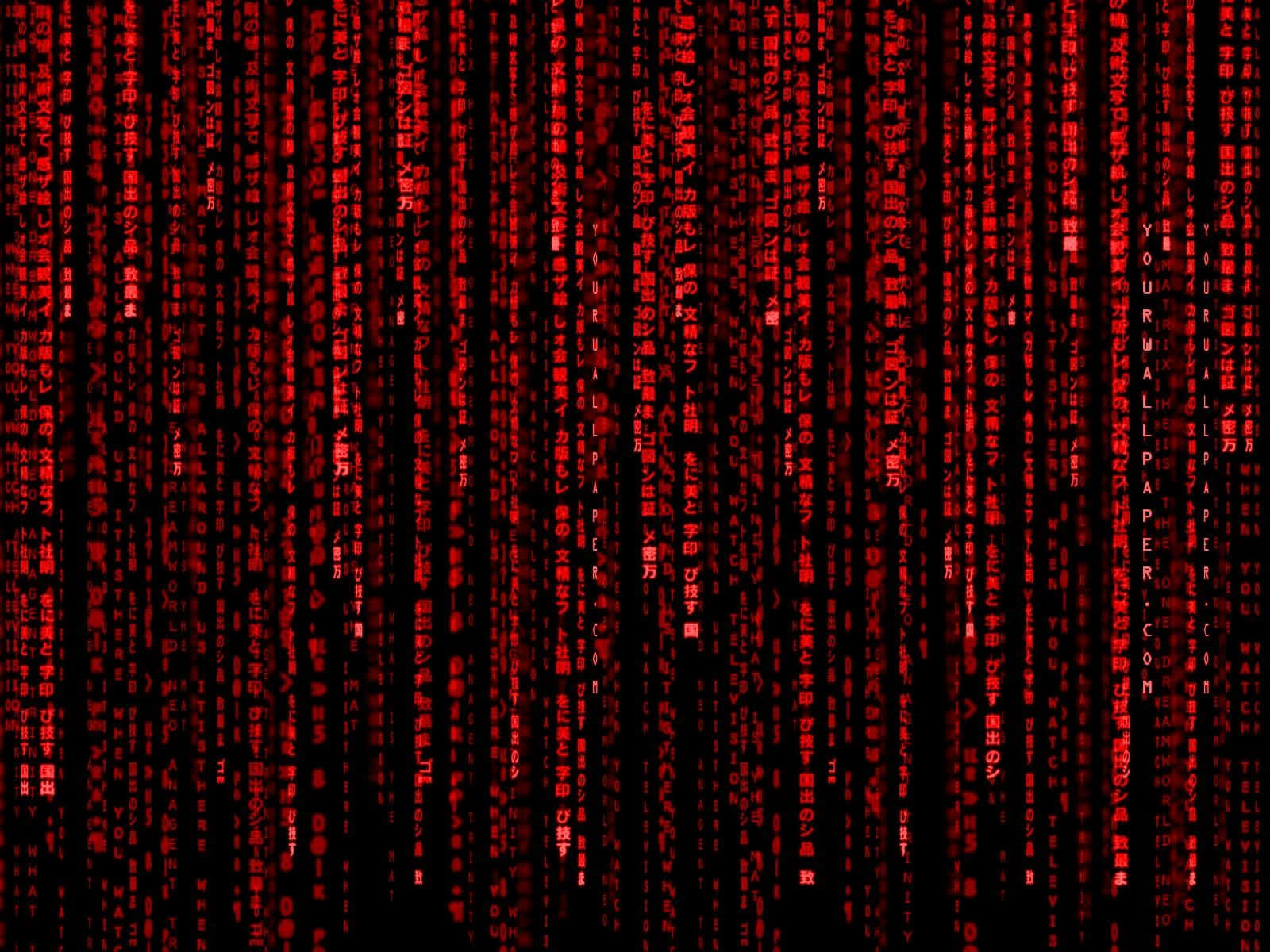 黑客 桌布 壁紙 — 紅色數位代碼流垂直傾瀉在黑色背景上，呈現 Matrix 風格的視覺效果。