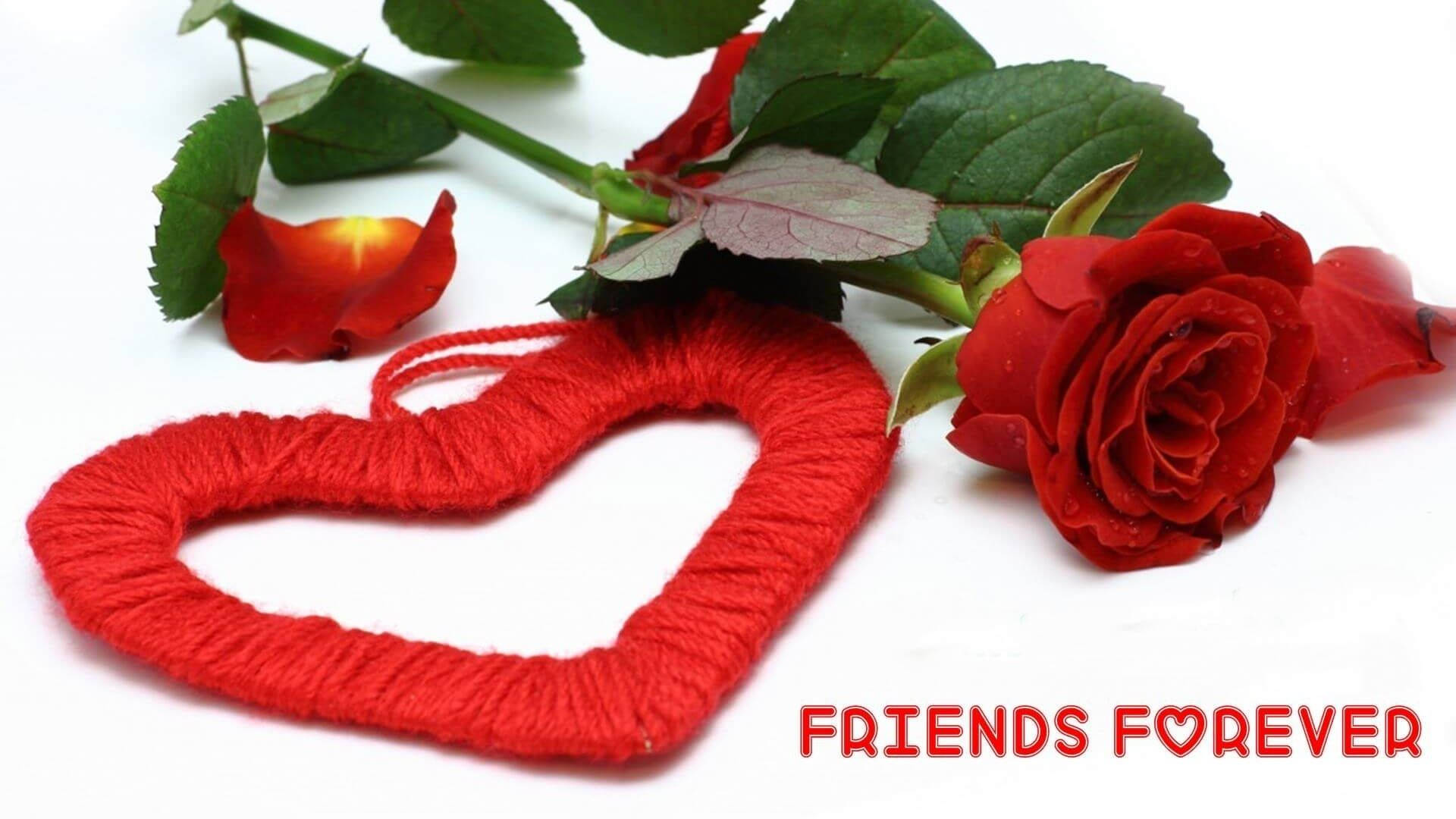 Friendship Day 桌布 壁紙 — 紅色毛線心形和新鮮紅玫瑰放在白色背景上，並有紅色 'FRIENDS FOREVER' 文字。