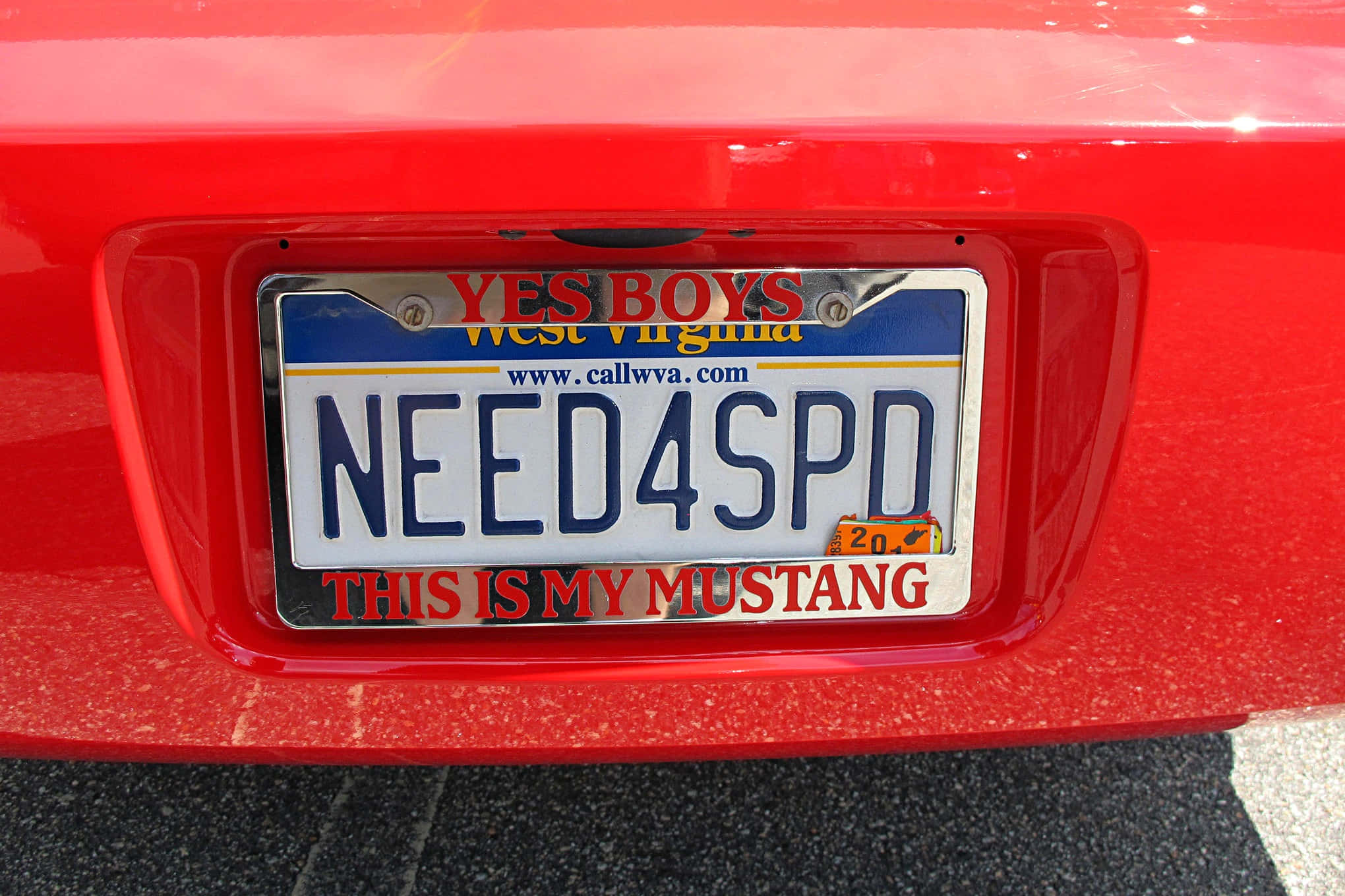 License Plate 桌布 壁紙 — 紅色汽車後保險桿的特寫，顯示西維吉尼亞州車牌，上面寫著 NEED4SPD，並有自訂紅色文字 THIS IS MY MUSTANG。