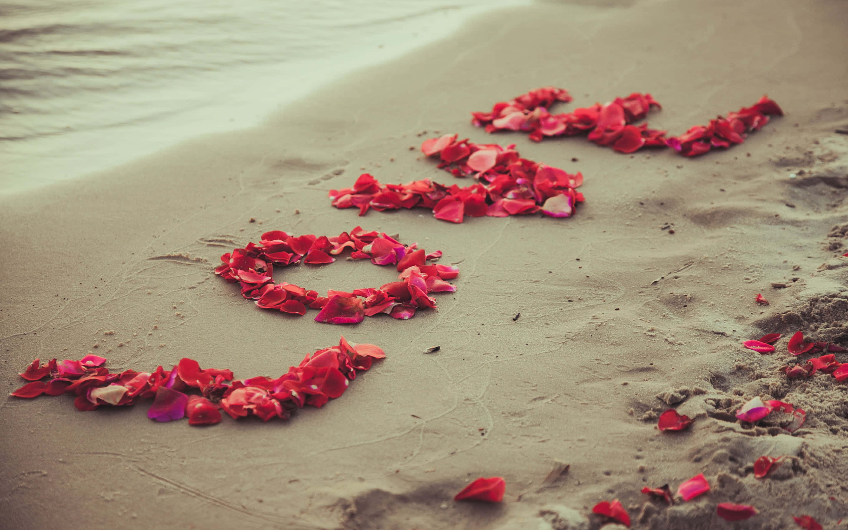 Flower Petals 桌布 壁紙 — 紅色玫瑰花瓣在濕潤的沙灘上拼出愛字，旁邊是溫柔的海浪。