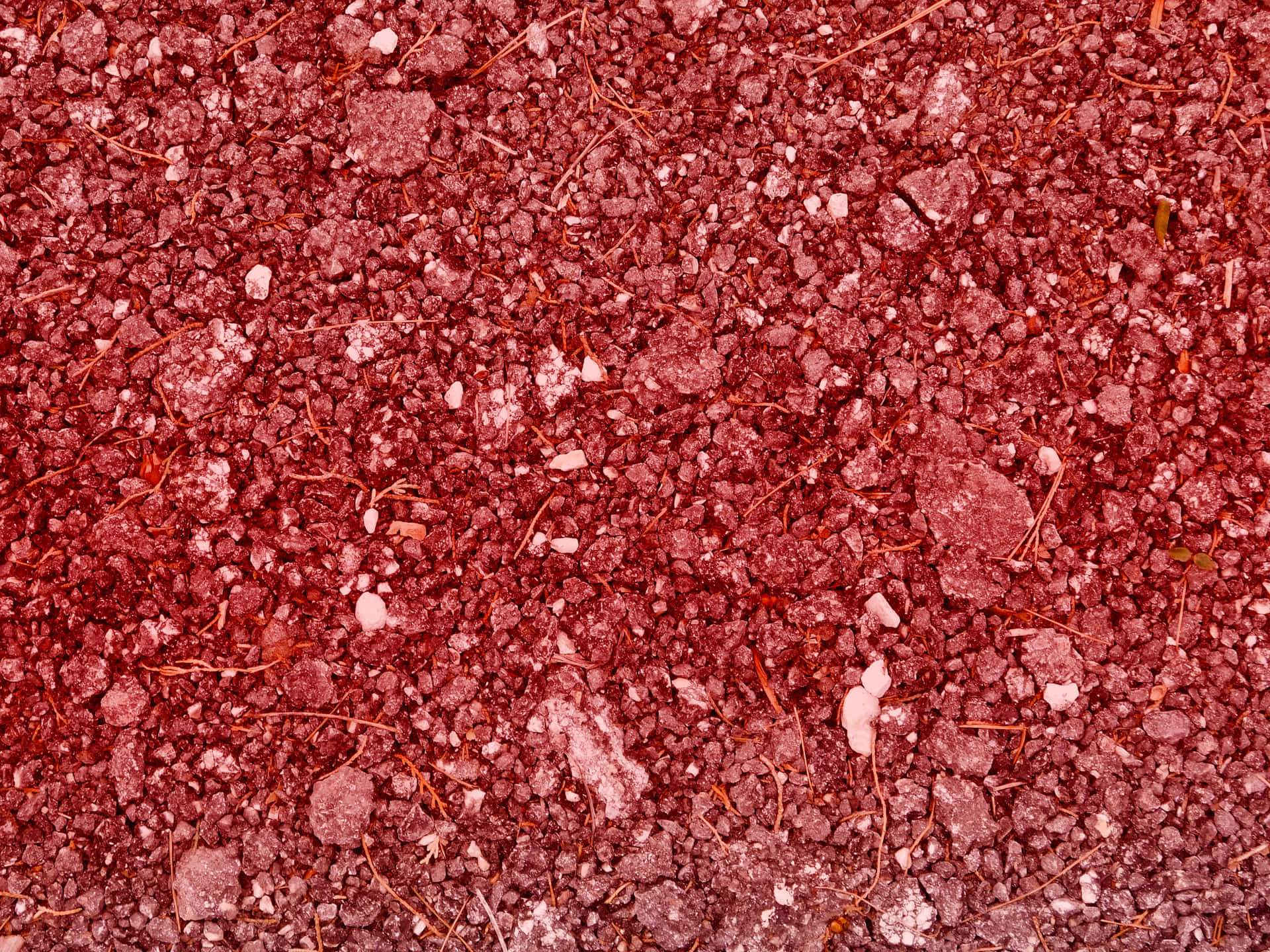 Red stone texture 壁紙 — 紅色紋理礫石的特寫，散落著白色石頭和細長的橙色根。