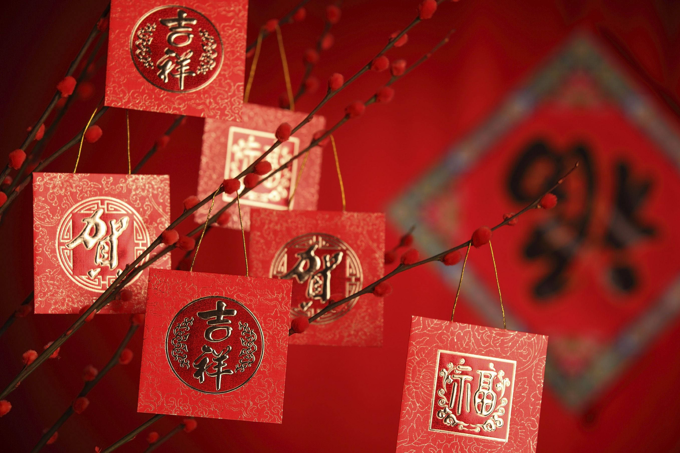 New 桌布 壁紙 — 紅色紙信封上帶有金色中文字，掛在結滿漿果的樹枝上，背景是喜慶的紅色。