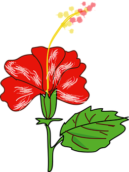 紅色芙蓉向量插圖 — 花 壁紙