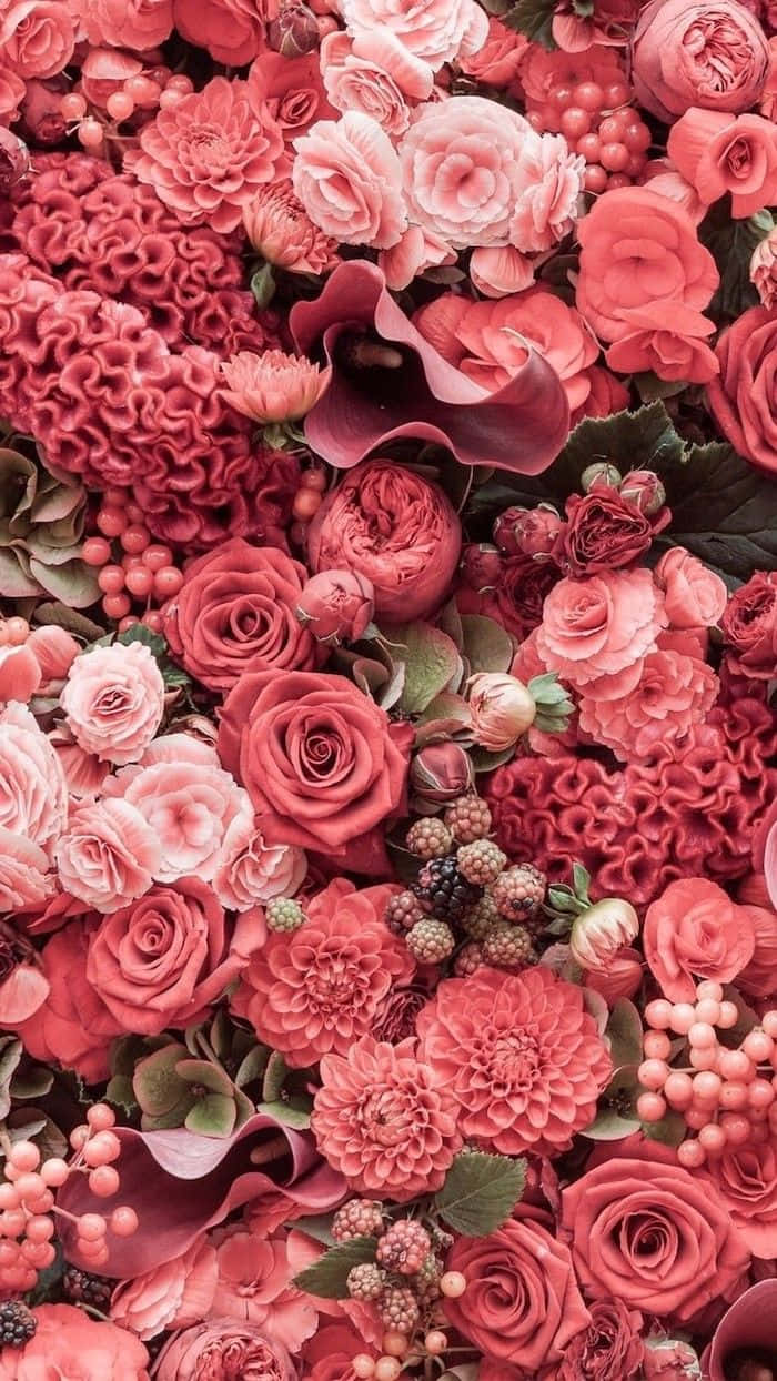 紅色花朵圖案，滿佈紅色花朵 壁紙