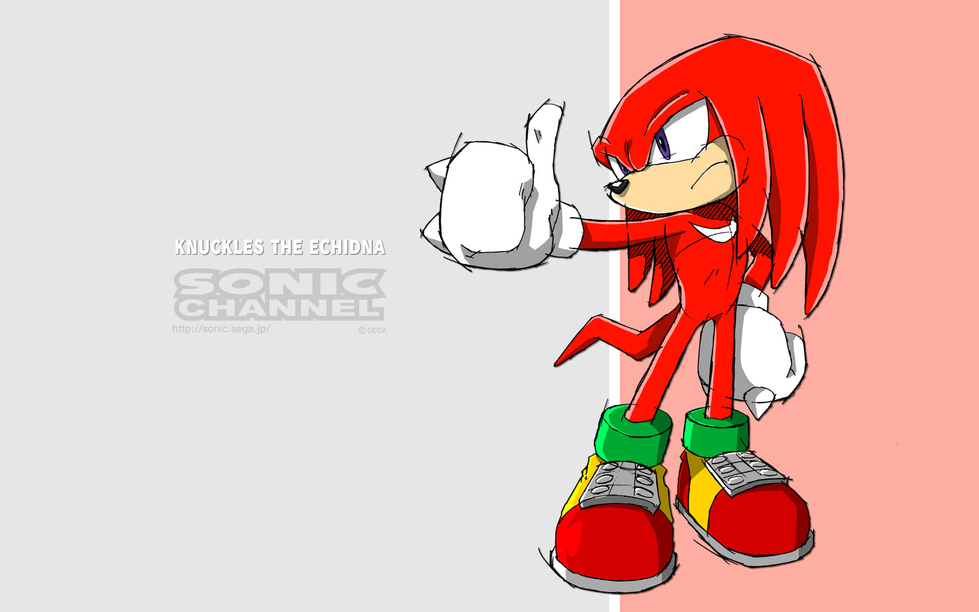 Knuckles 桌布 壁紙 — 紅色針鼴納克魯斯在灰色和粉紅色的分割背景上豎起大拇指，帶有Sonic Channel浮水印。