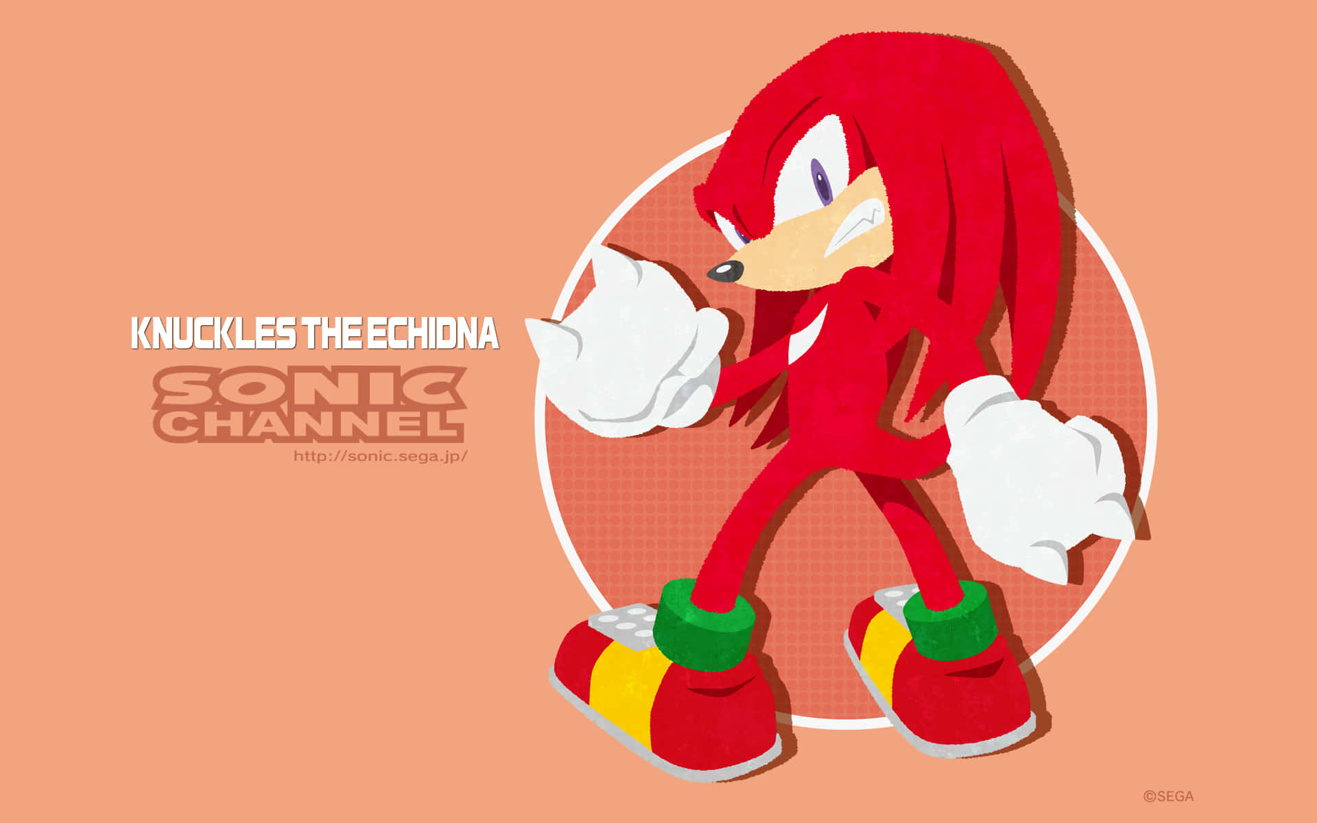 Knuckles 桌布 壁紙 — 紅色針鼴納克魯斯自信地站在圓形框架內，背景為純蜜桃色，帶有粗體文字。