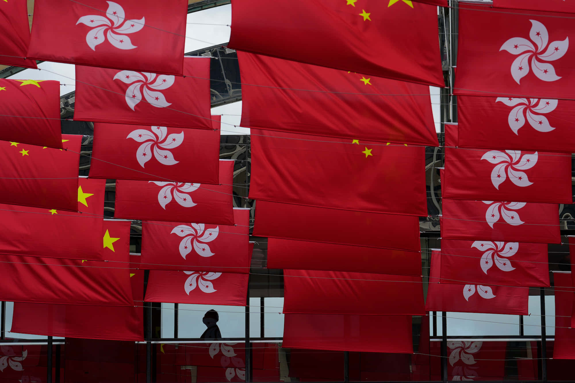 香港 桌布 壁紙 — 紅色香港和中國國旗密集懸掛在頭頂上方，下方可見一個人的剪影。