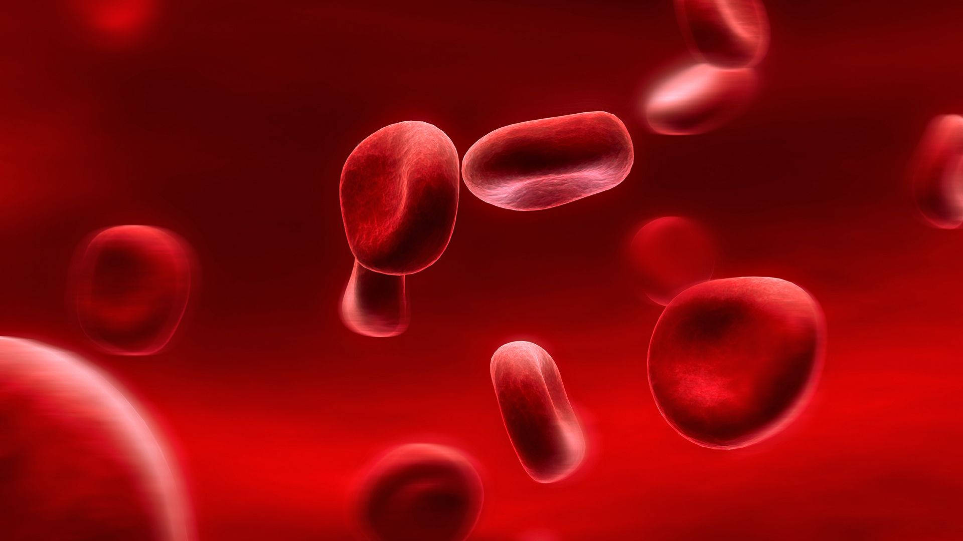 Cells 桌布 壁紙 — 紅血球漂浮在深紅色的液體中，柔和的光線突顯出它們的雙凹形狀。