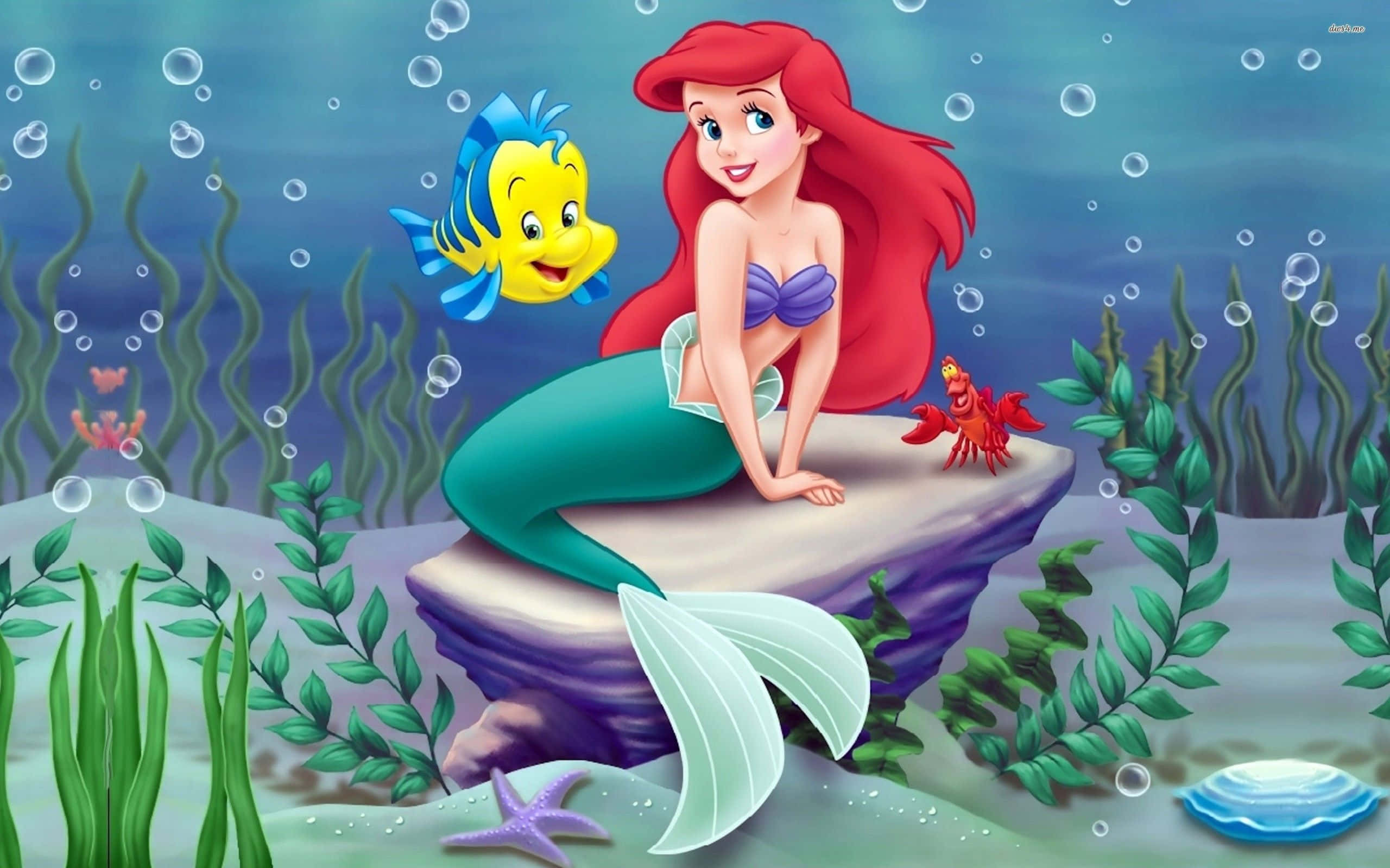 little mermaid 桌布 壁紙 — 紅髮美人魚艾莉兒坐在岩石上微笑，旁邊是小比目魚和賽巴斯丁，在充滿活力的海底場景中。