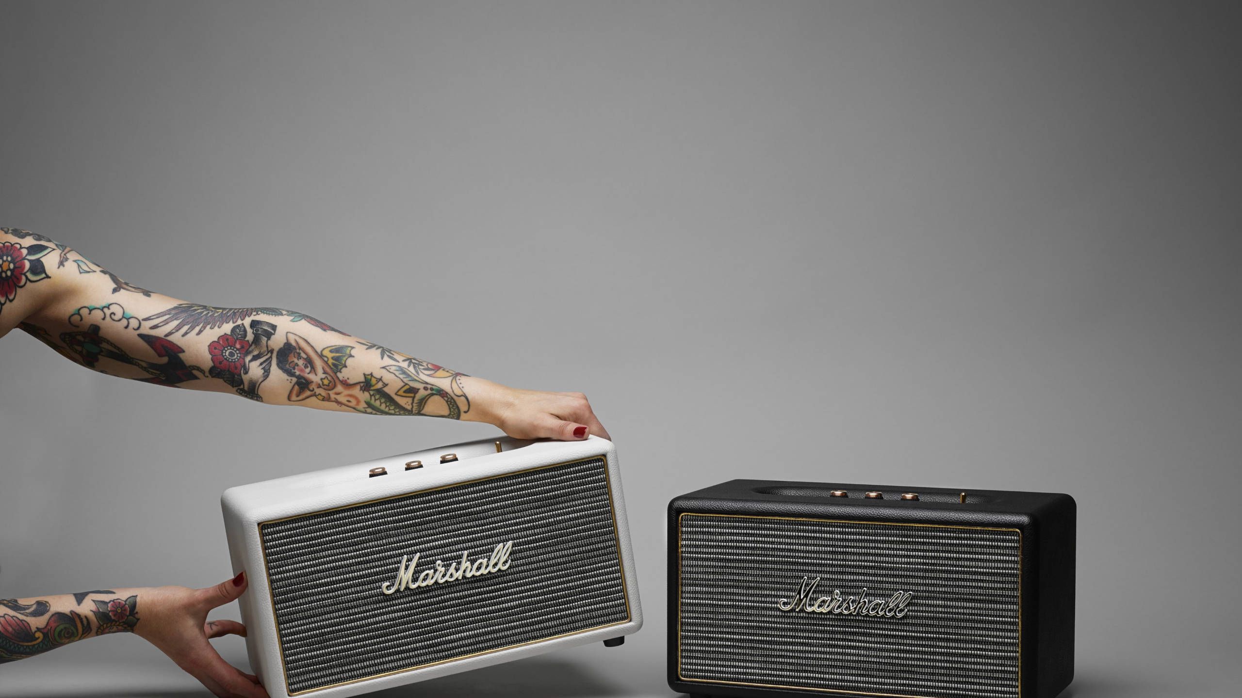 Marshall 桌布 壁紙 — 紋身的手在純灰色背景前，將一個白色 Marshall 揚聲器舉起在一個黑色旁邊。