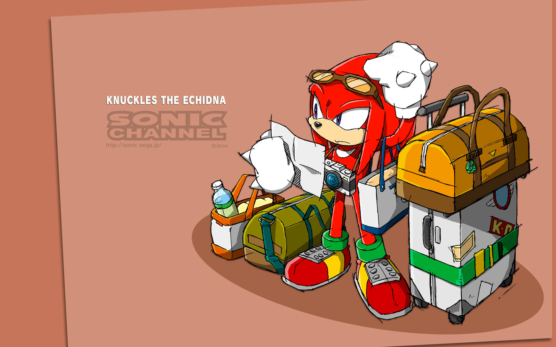 Knuckles 桌布 壁紙 — 納克魯斯站在純蜜桃色背景前，被色彩繽紛的行李和旅行裝備包圍。