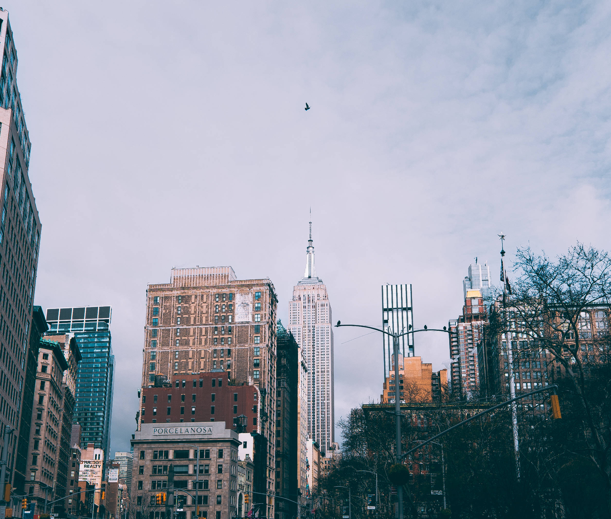 empire state 桌布 壁紙 — 紐約市一個多雲的日子，帝國大廈聳立在周圍的摩天大樓和光禿禿的樹木之上。