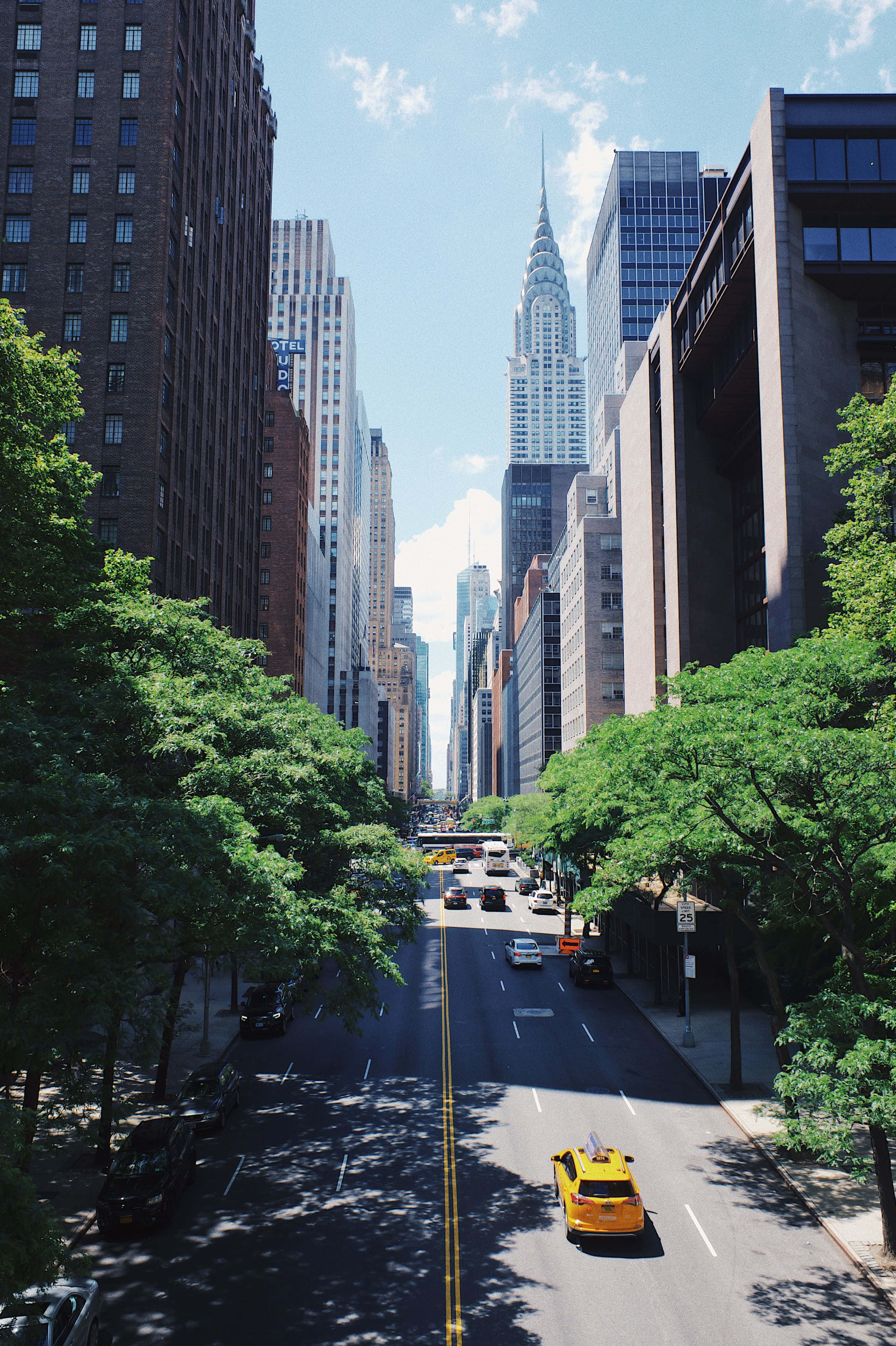 Nyc Aesthetic 桌布 壁紙 — 紐約市一條陽光普照的都市街道，兩旁綠樹成蔭，遠處克萊斯勒大廈高聳入雲。