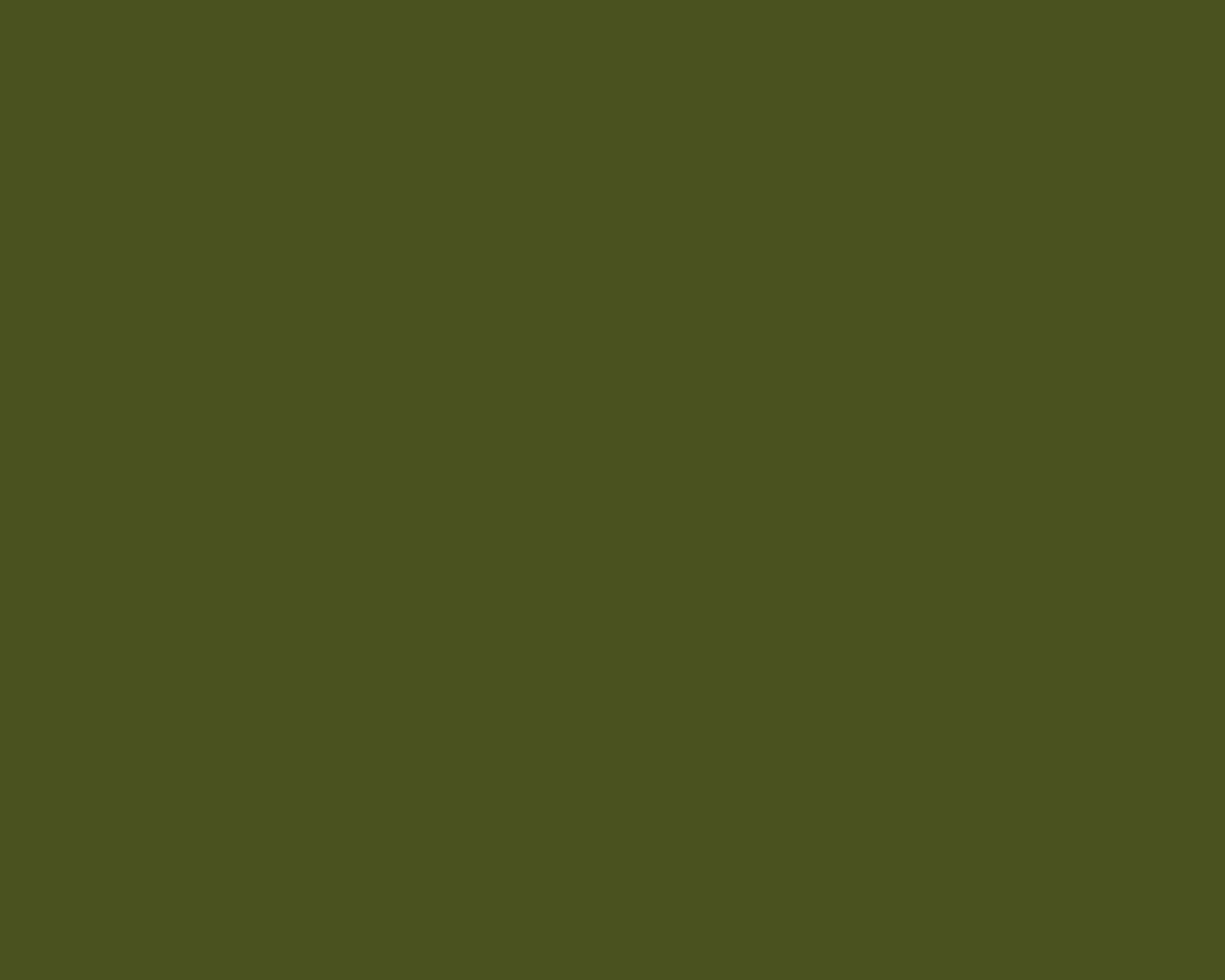 Green Solid Color 桌布 壁紙 — 純橄欖綠色背景，沒有可見的物體或圖案。