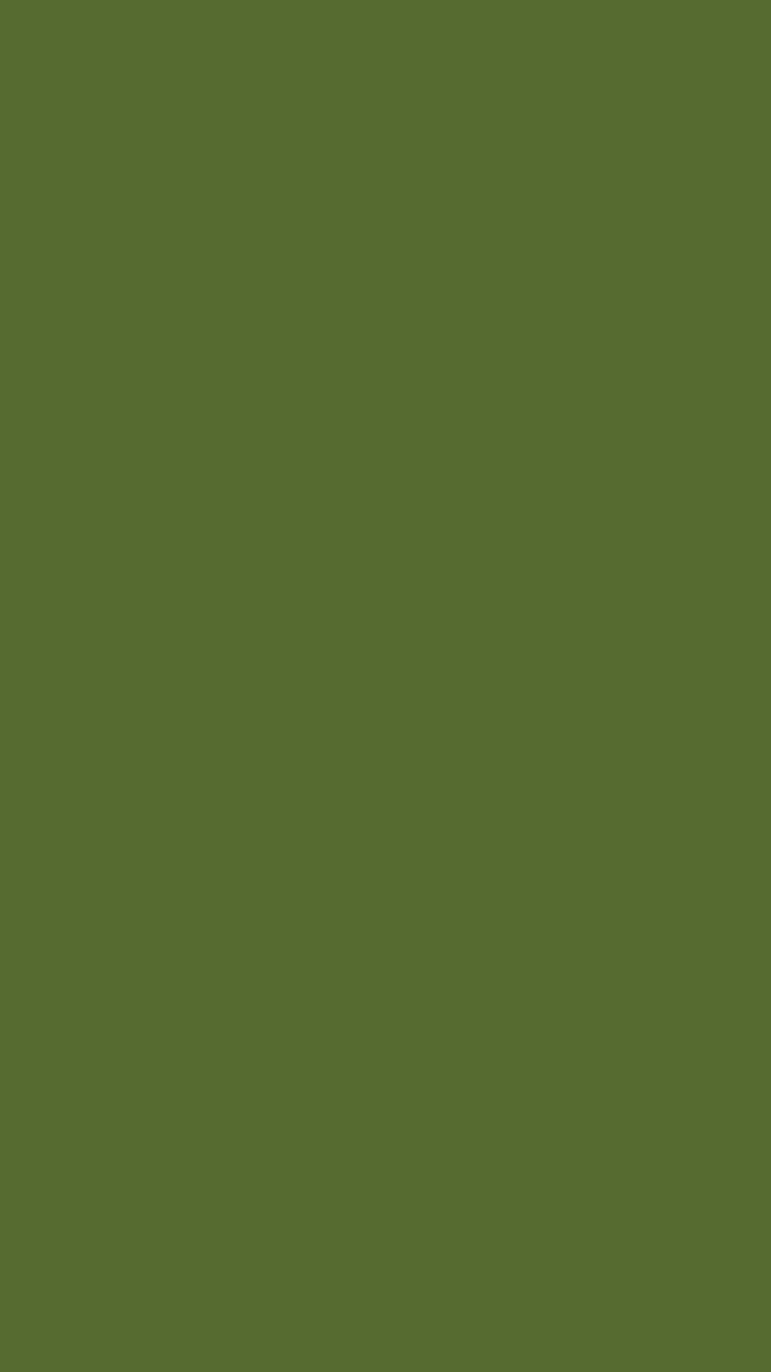 Olive Green 桌布 壁紙 — 純橄欖綠色背景，沒有可見的物體或細節。