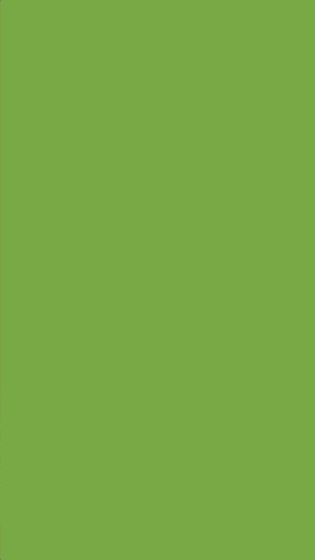 Light Green Plain 桌布 壁紙 — 純橄欖綠色背景，沒有可見的物體或細節。