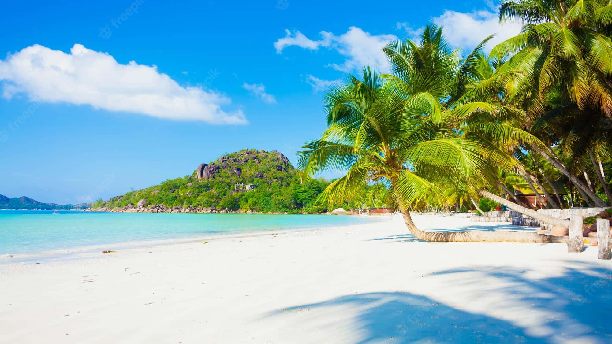 Caribbean Beach 桌布 壁紙 — 純淨的白色沙灘，兩旁搖曳的棕櫚樹，在明亮的藍天下有蓬鬆的雲朵。