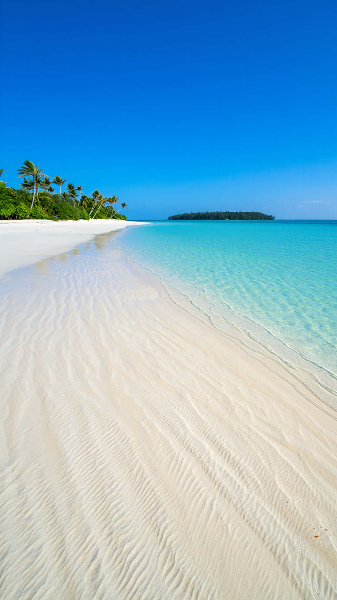 Breathtaking view of a tropical beach with turquoise waters and bright blue sky 壁紙 — 純淨的白色沙灘在清澈的藍天下輕輕彎曲，碧綠的海水拍打著海岸，棕櫚樹排列在邊緣。